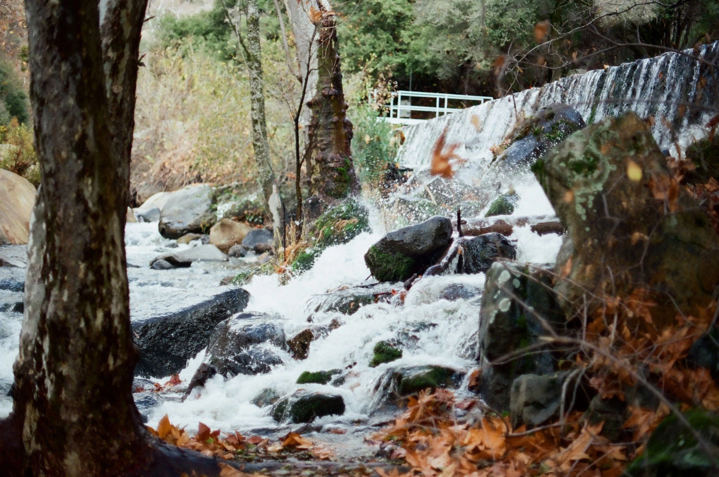 image 1.jpg