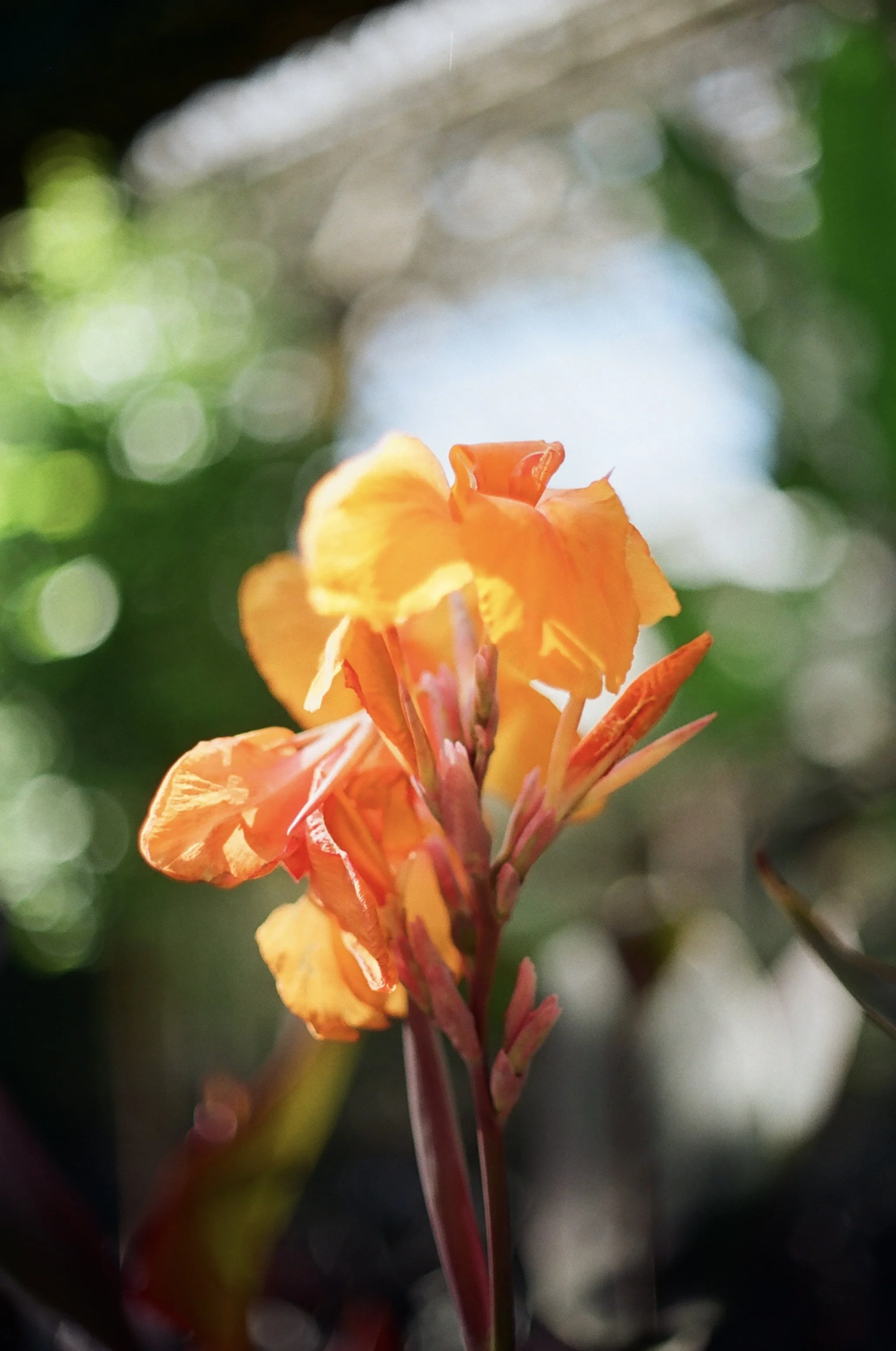 IMG_1853.jpeg