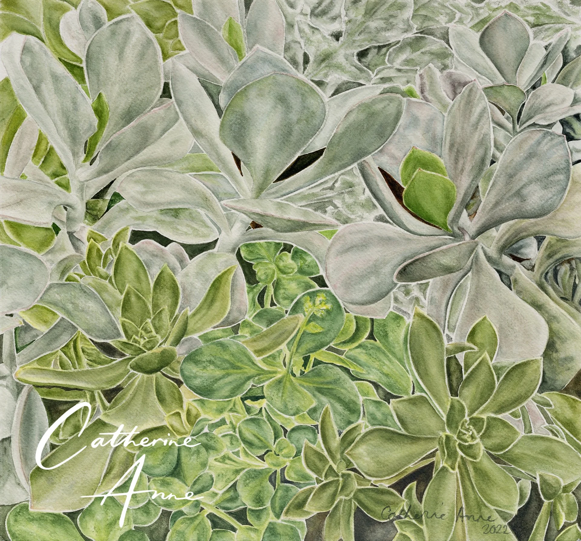 Succulents