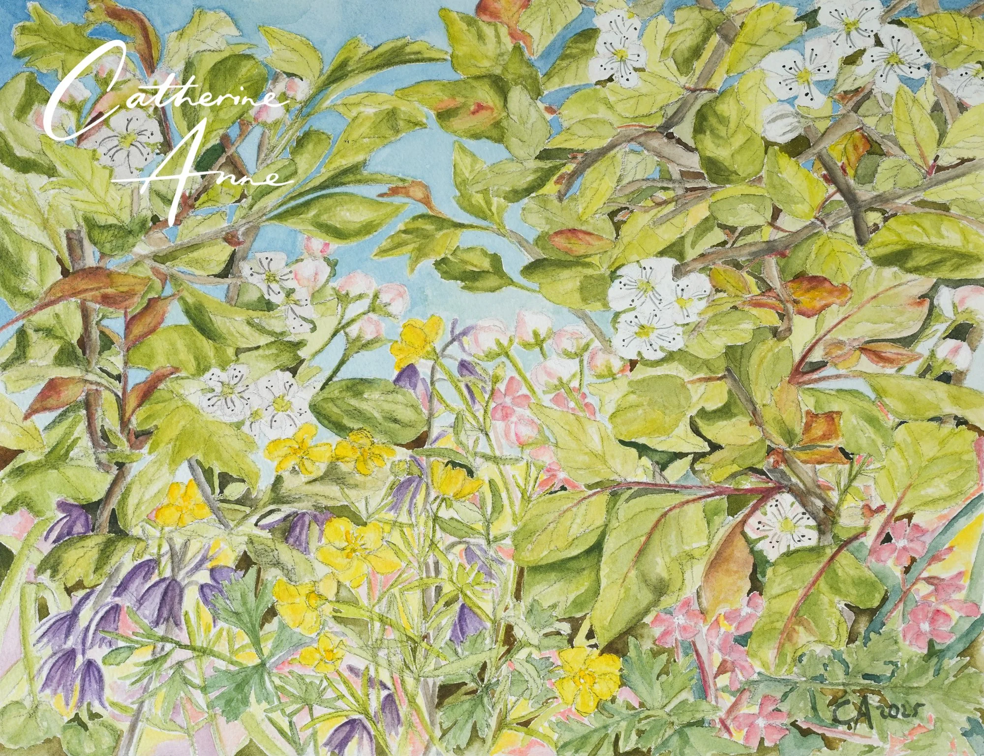 Muted Spring I