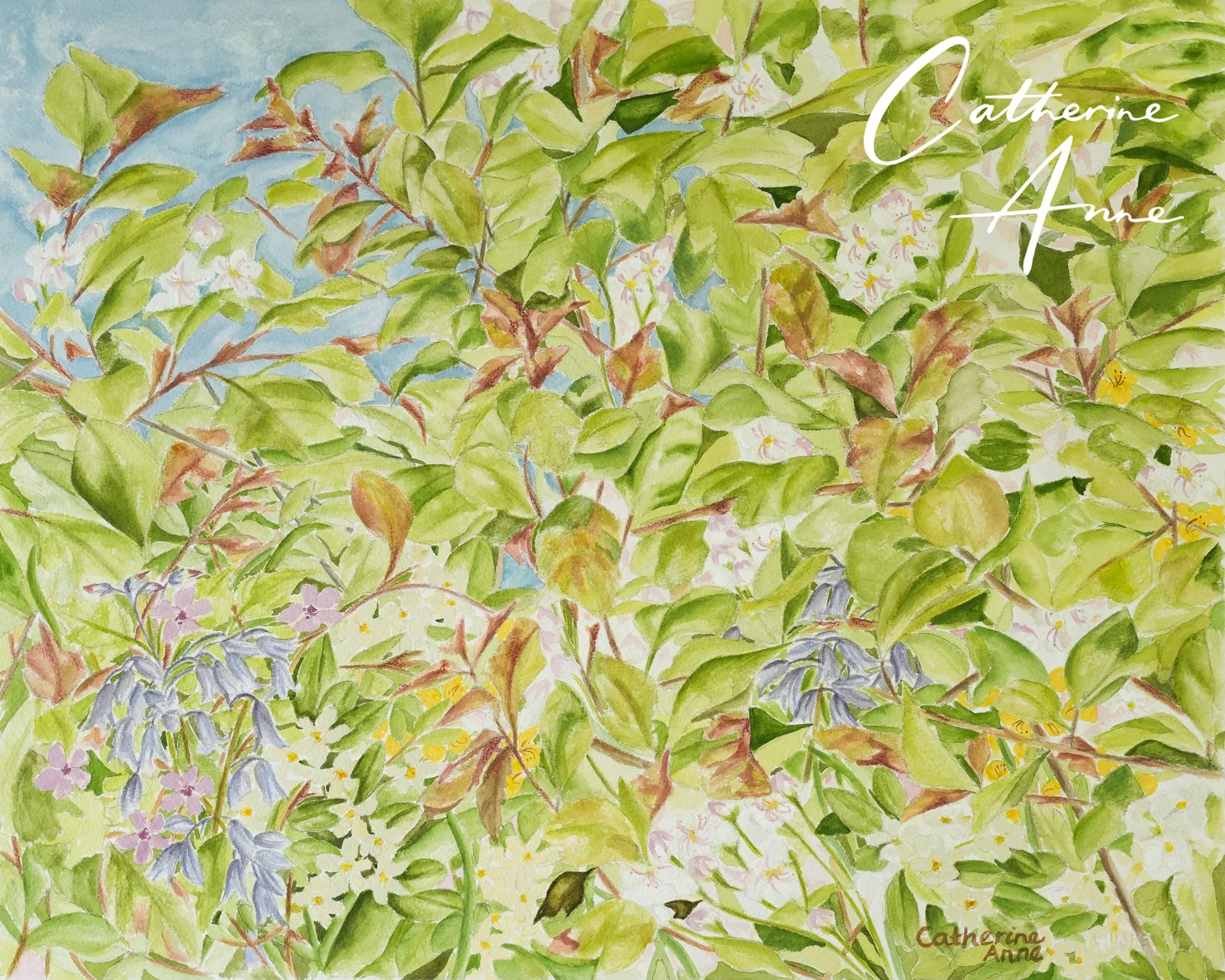 Muted Spring II