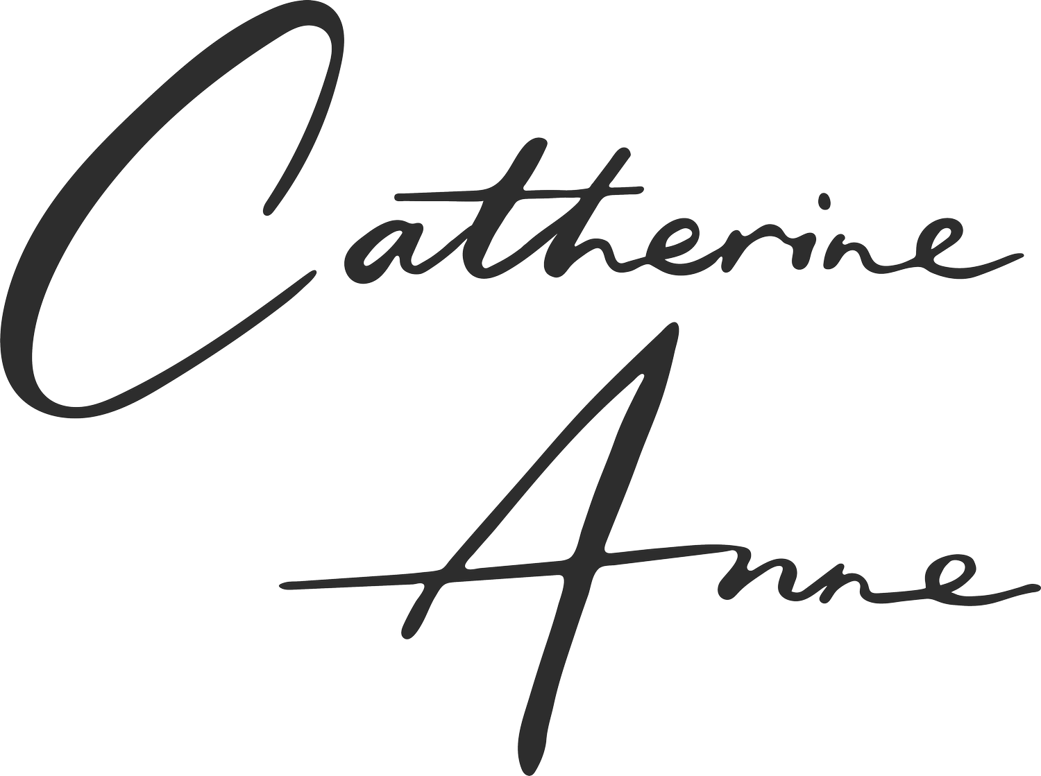 CATHERINE ANNE ART