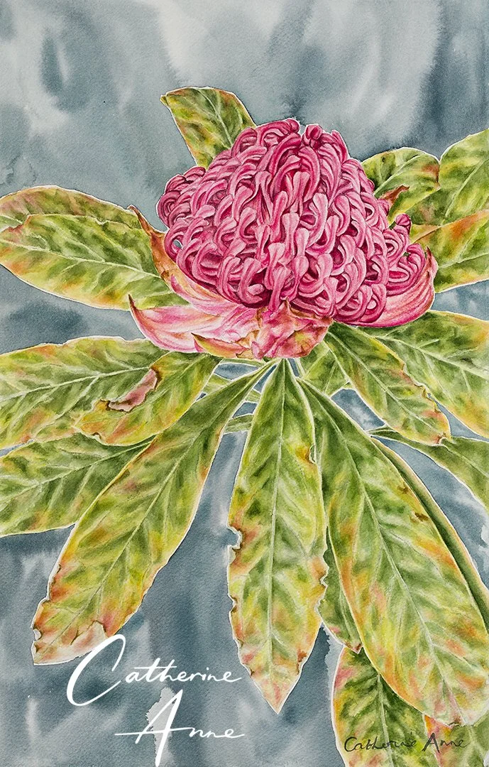 Waratah