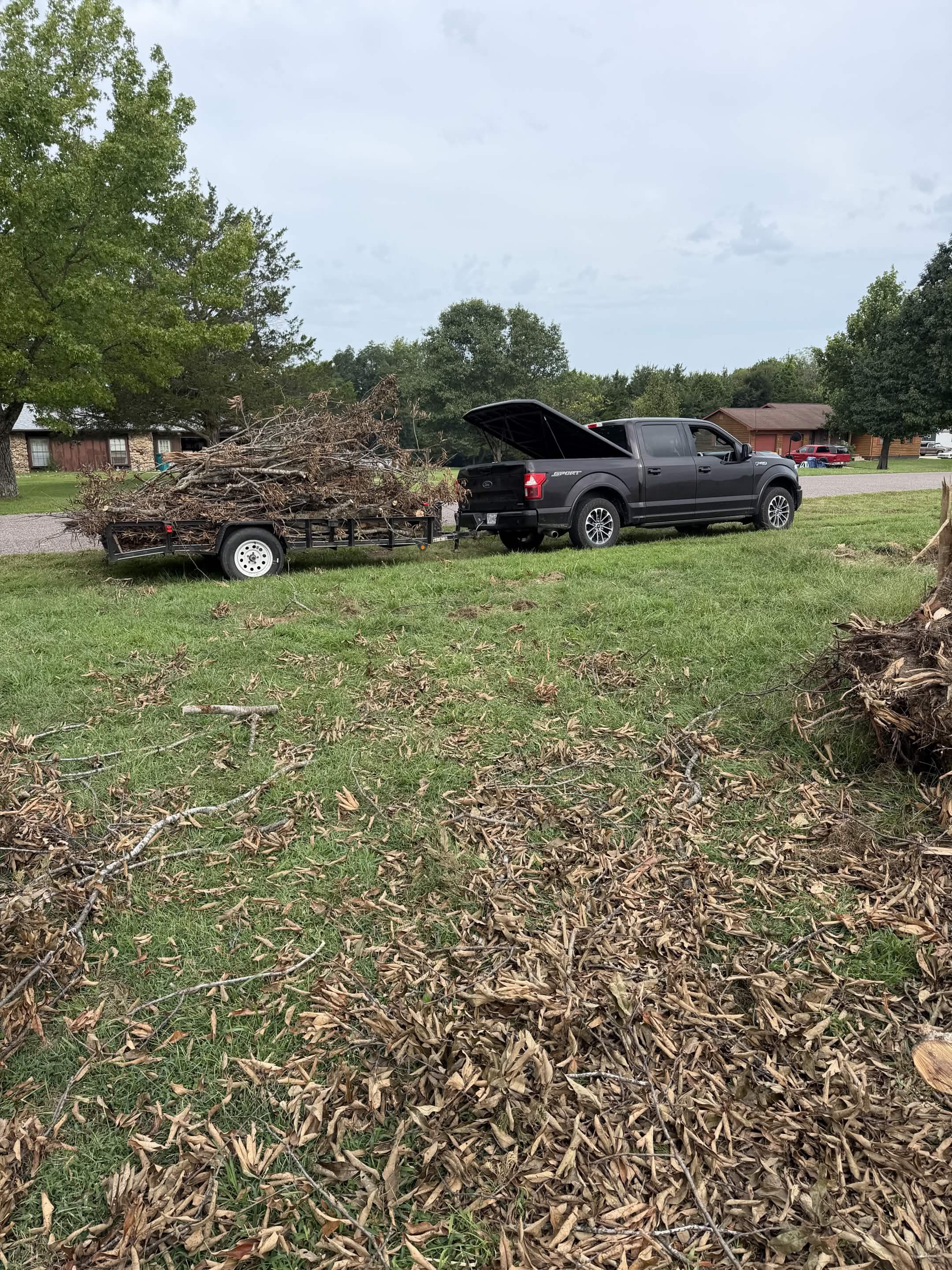 A black pickup truck is parked on a grassy yard with its tailgate down, carrying a large pile of tree branches and leaves. The door of the truck's bed is open. In the background, there are houses, trees, and a cloudy sky.