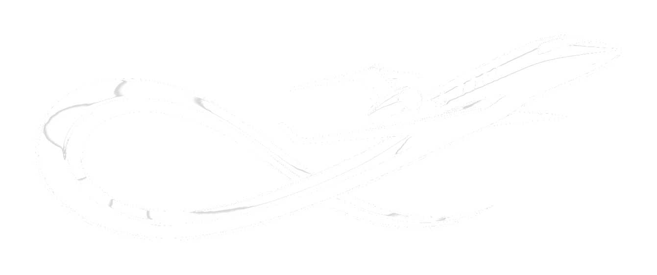 Limitless Shine Aircraft Detailers Logo Emblem White