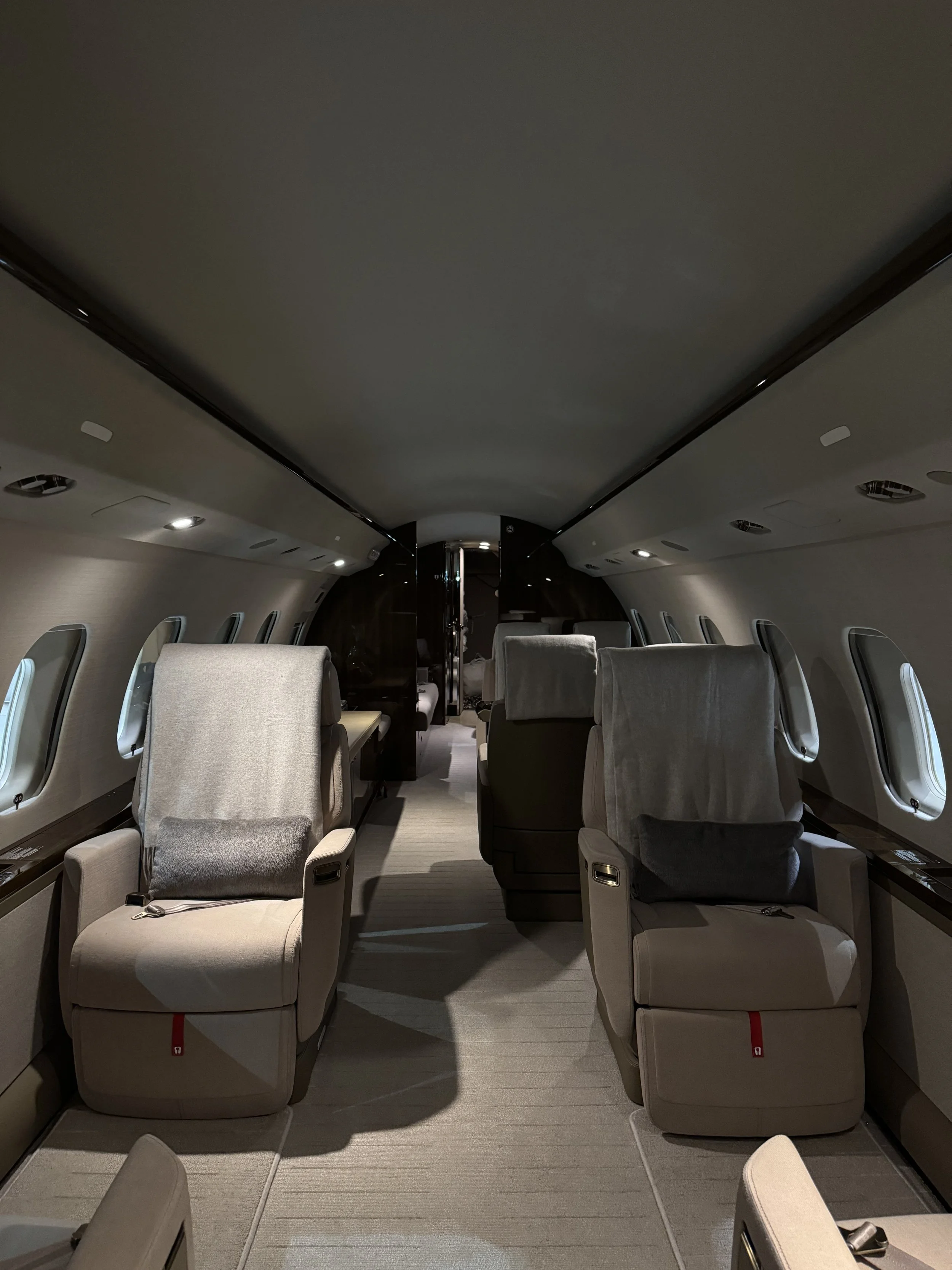 Aircraft interior detailing in Waco Texas