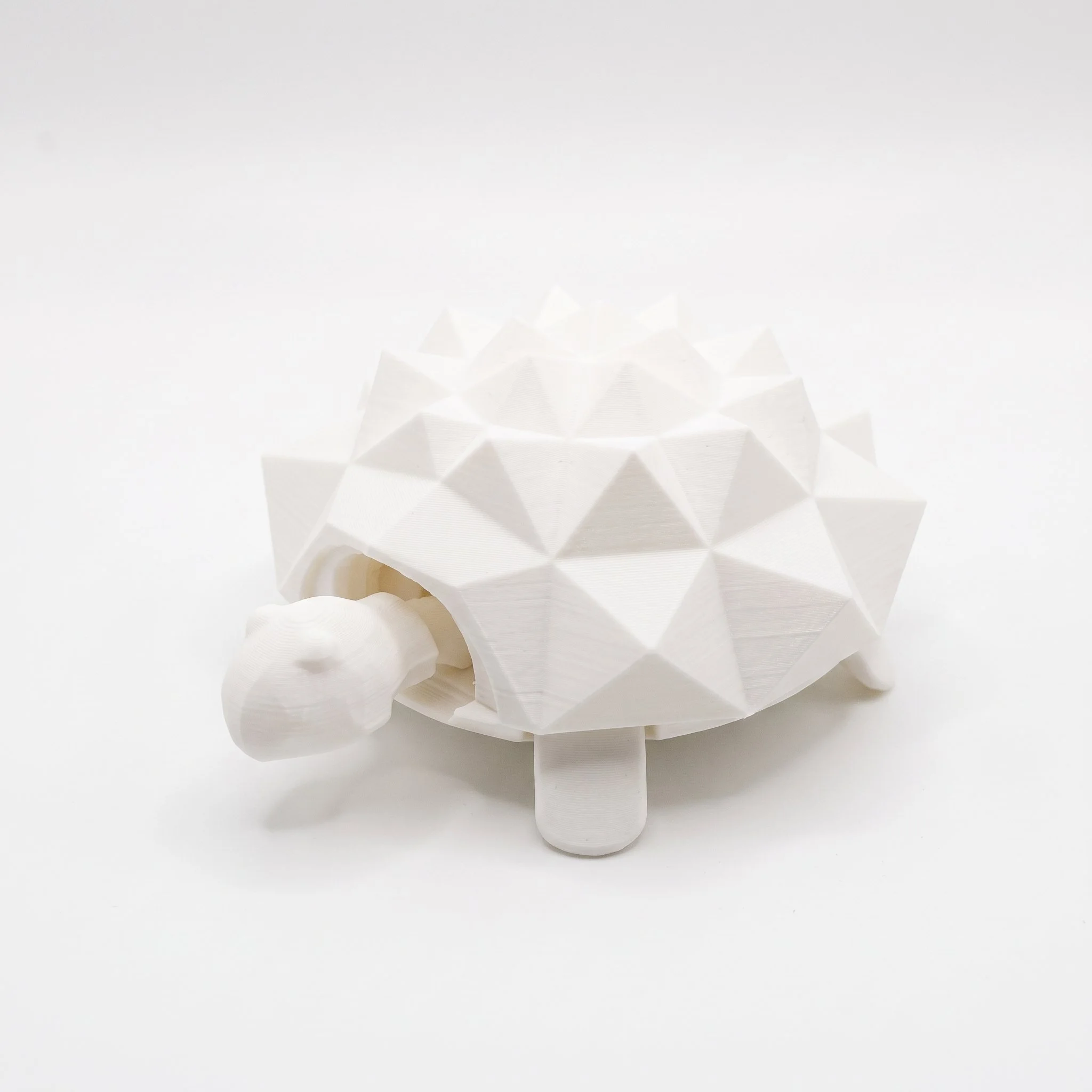 Turtle Fidget