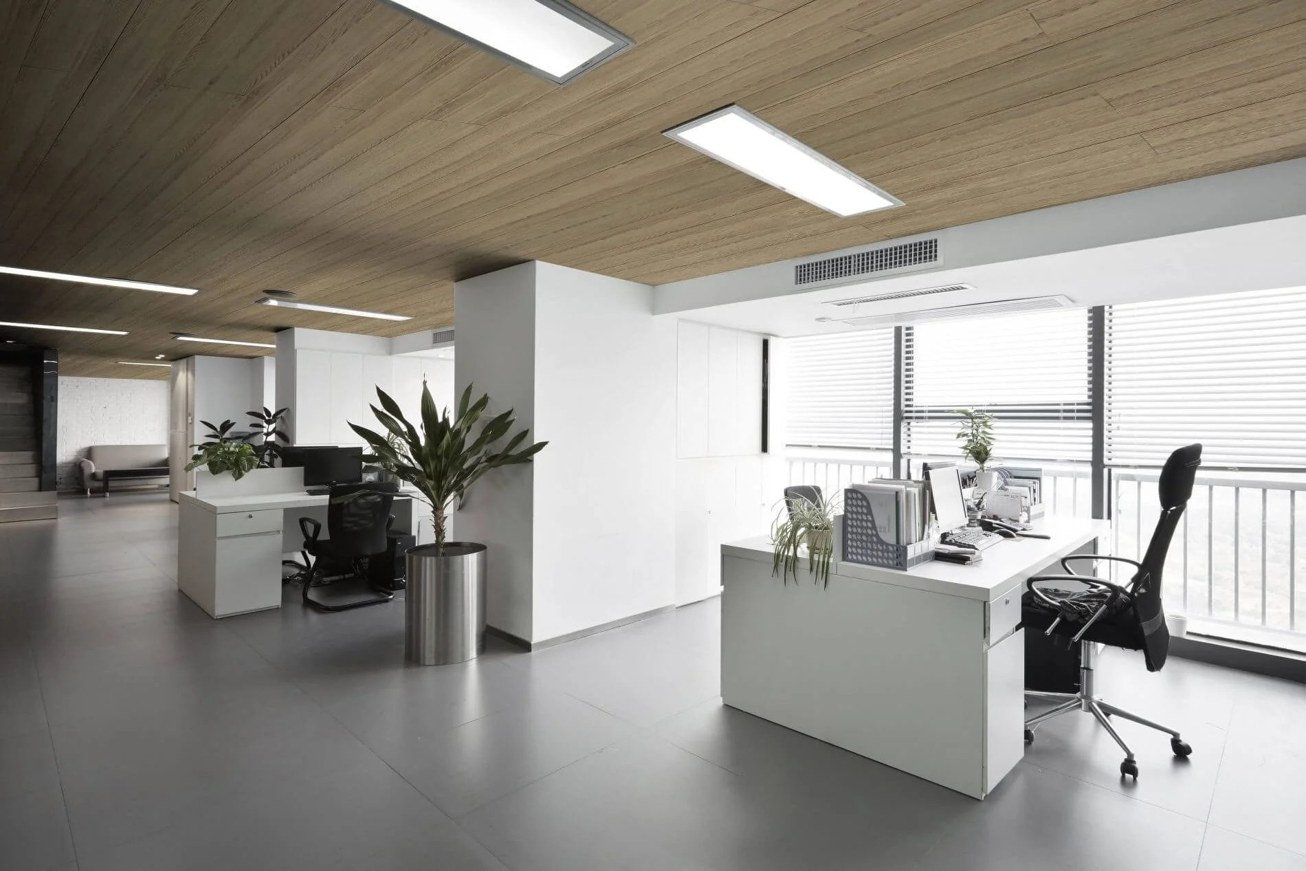 Modern office space with white desks, black chairs, potted plants, large windows with blinds, and a wooden ceiling with rectangular lighting fixtures.