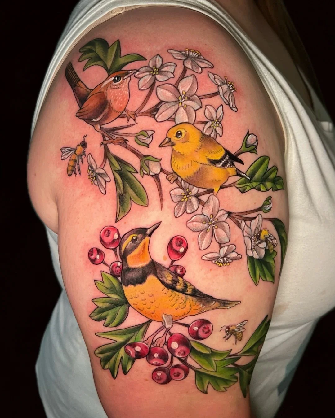 Colorful tattoo of various birds, flowering branches, berries, and bees on a person's upper arm.