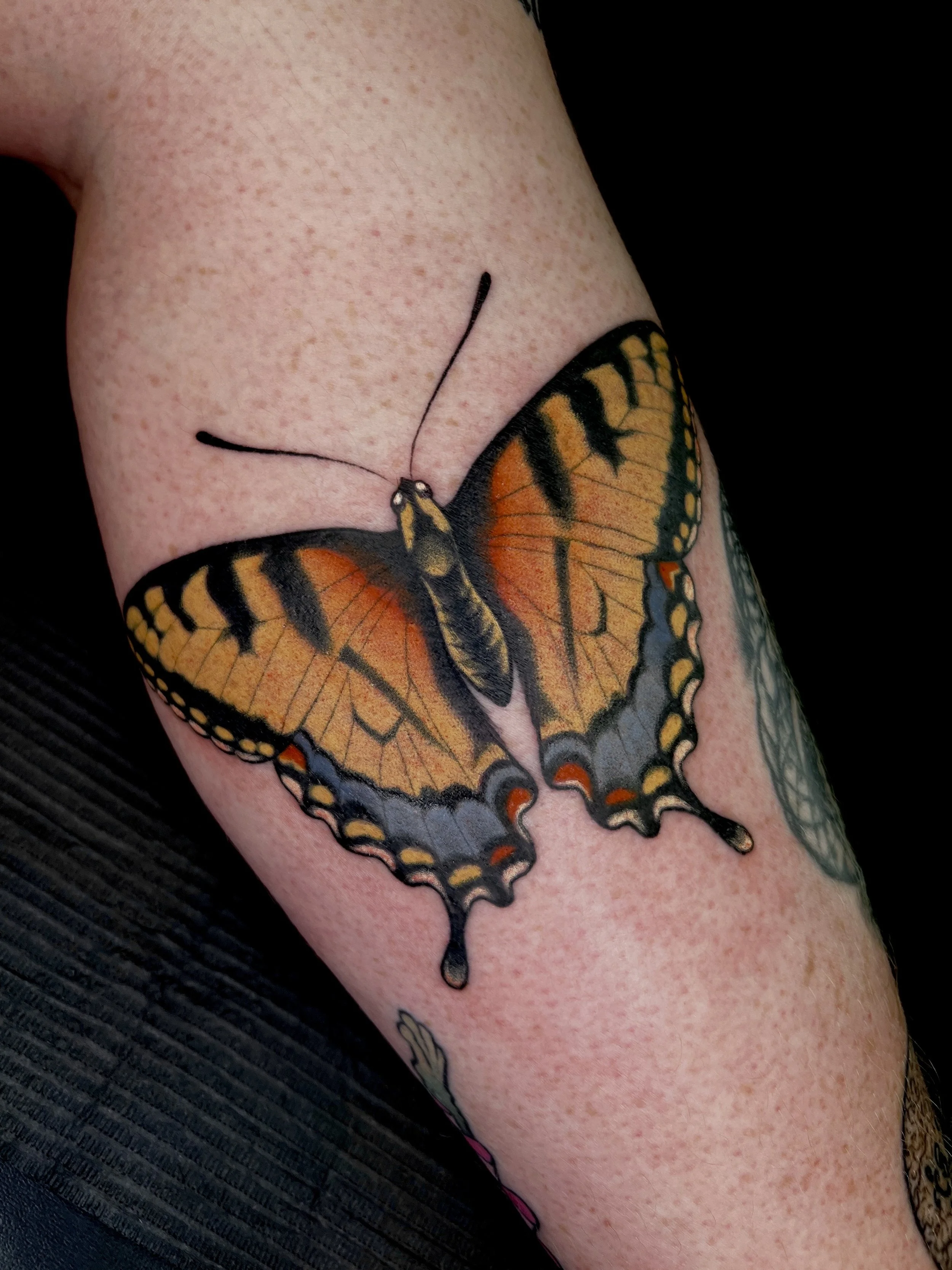 A close-up of a colorful Monarch butterfly tattoo on a person's upper arm, with black shaping and orange and yellow wings.