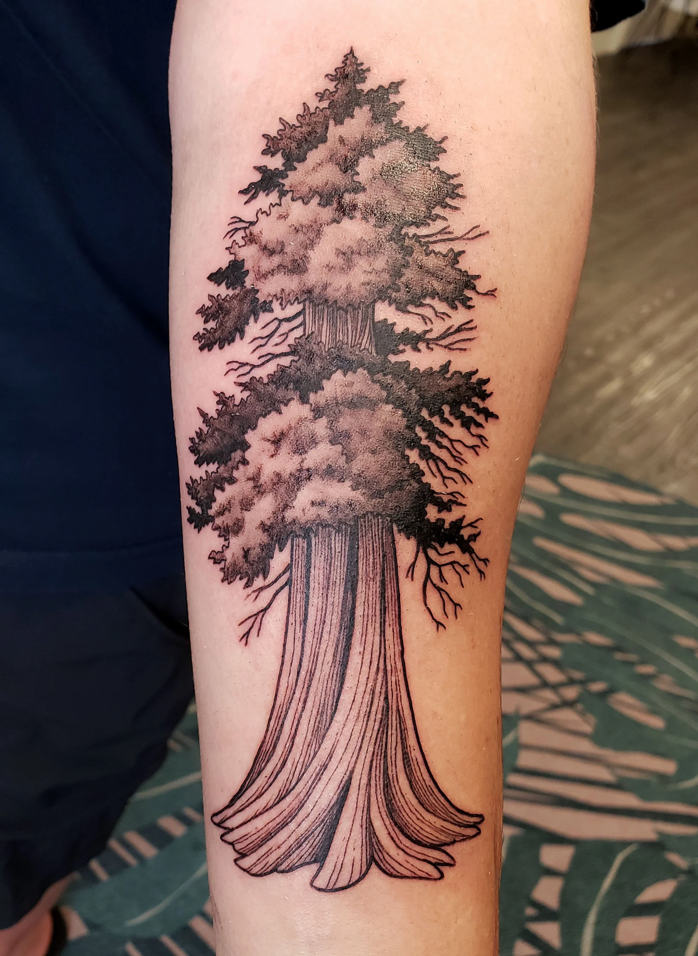 A black ink tattoo of a tree with detailed branches and roots on a person's arm.