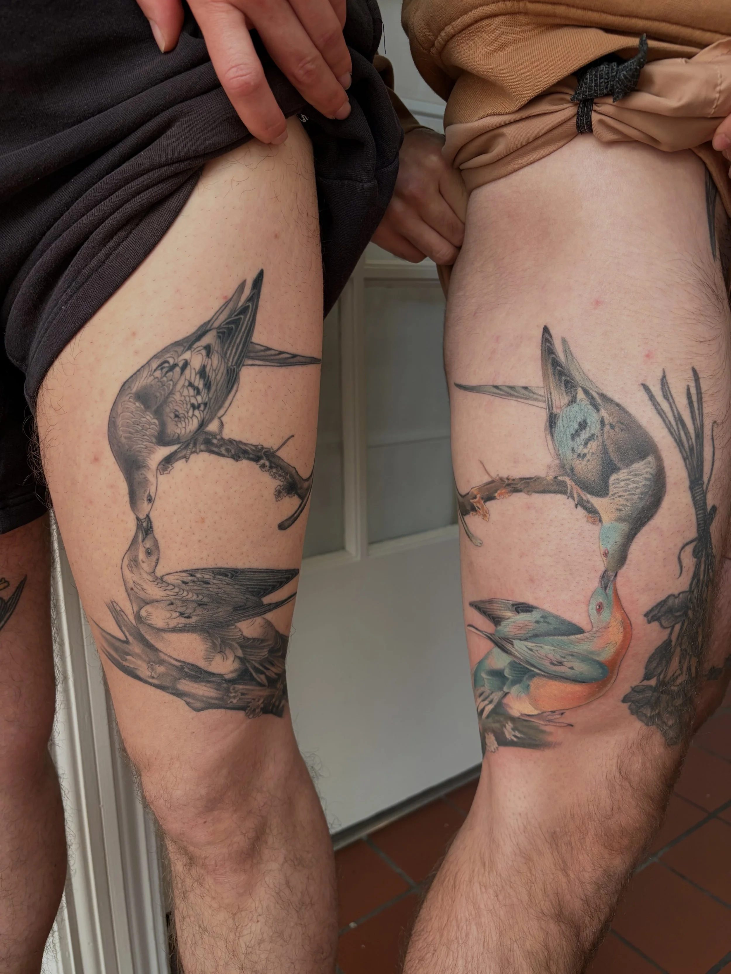 Close-up of two people's thighs with tattoos of birds, standing indoors near a door with brown tiled floor, lifting their shirts to reveal tattoos.