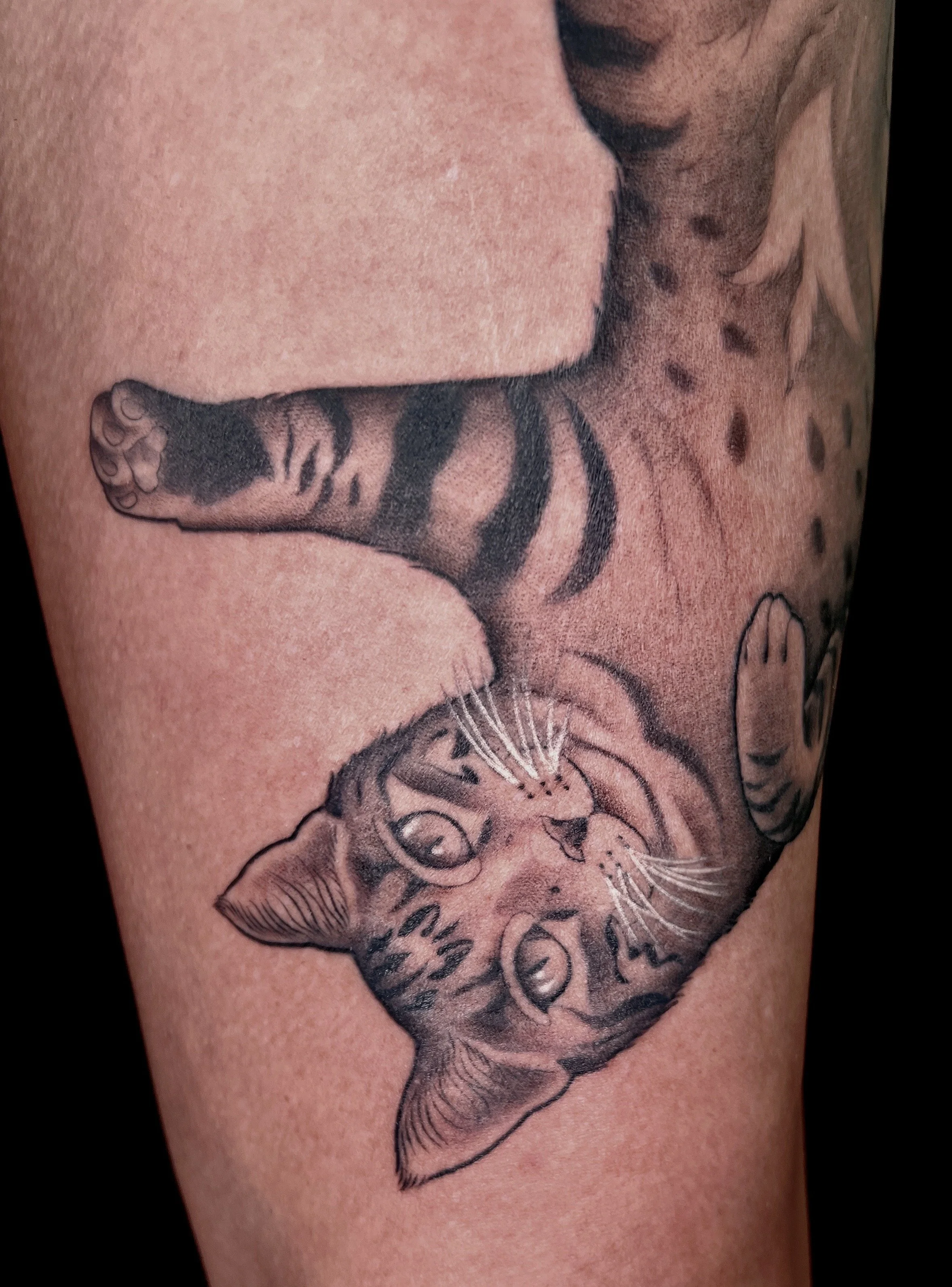 A tattoo of a cat's face with detailed features on a person's skin.