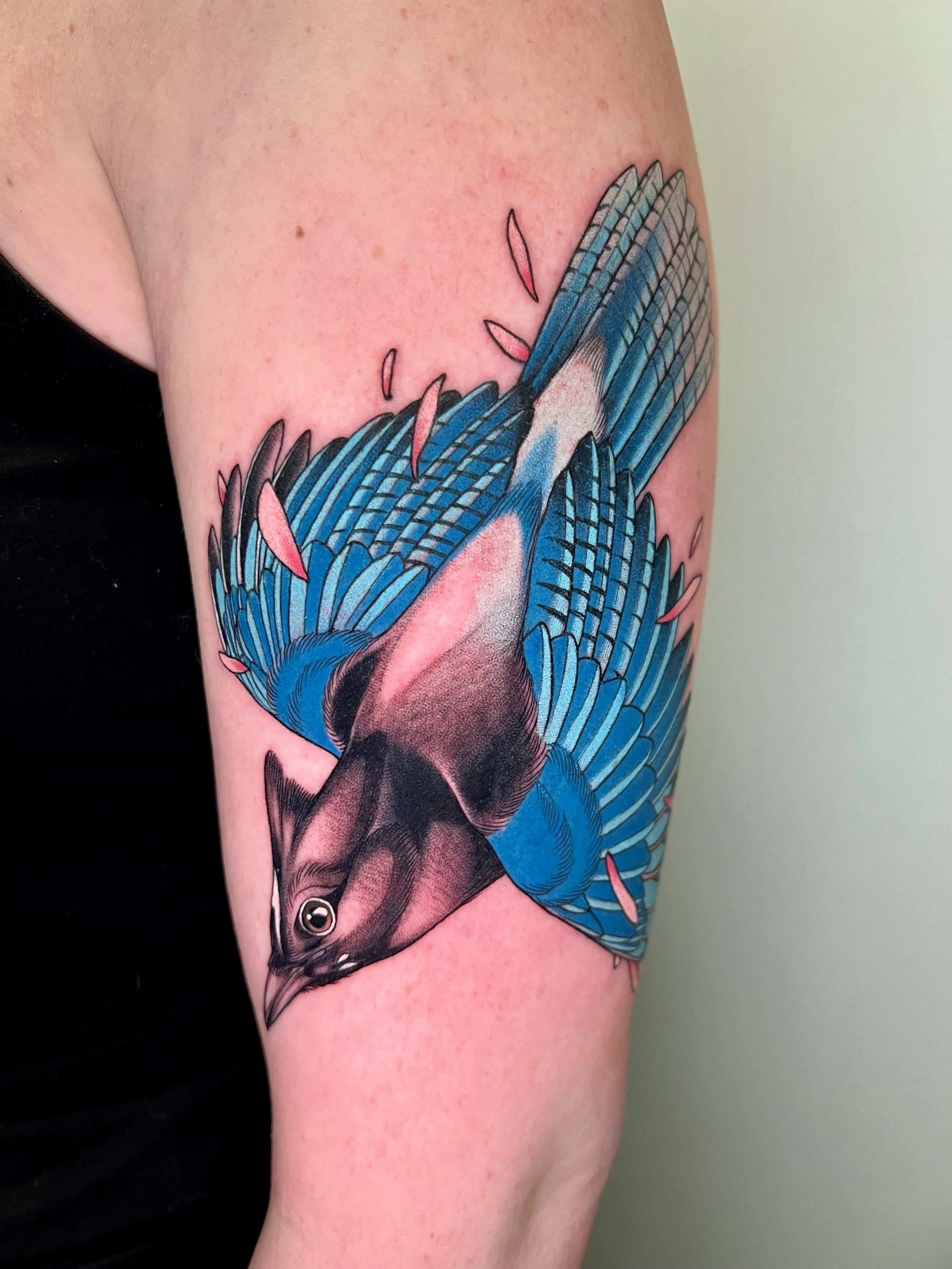 Close-up of a colorful tattoo of a blue jay bird surrounded by sakura cherry blossom petals on a person's upper arm.