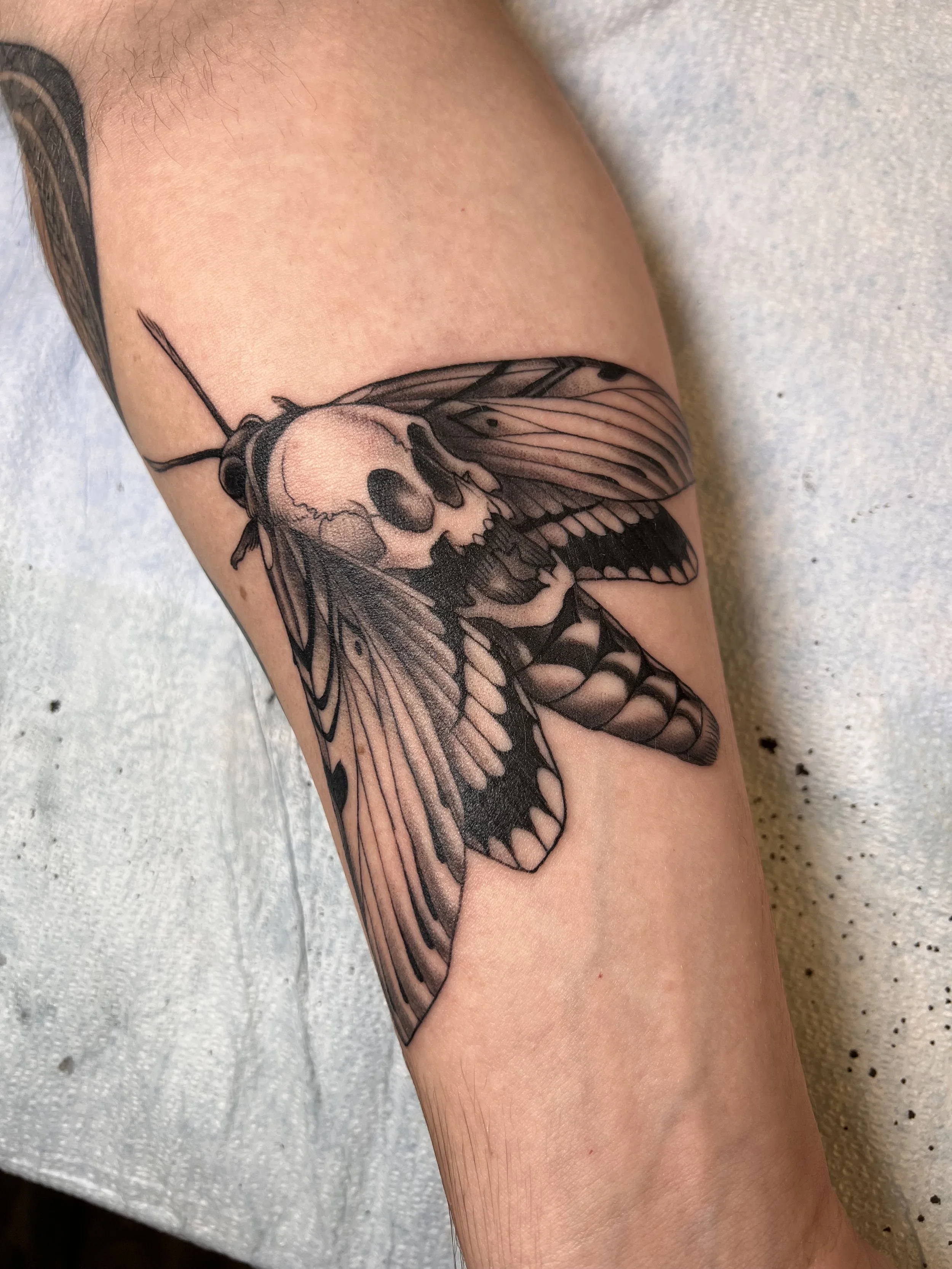 A tattoo of a moth with a skeleton head on the person's upper arm.