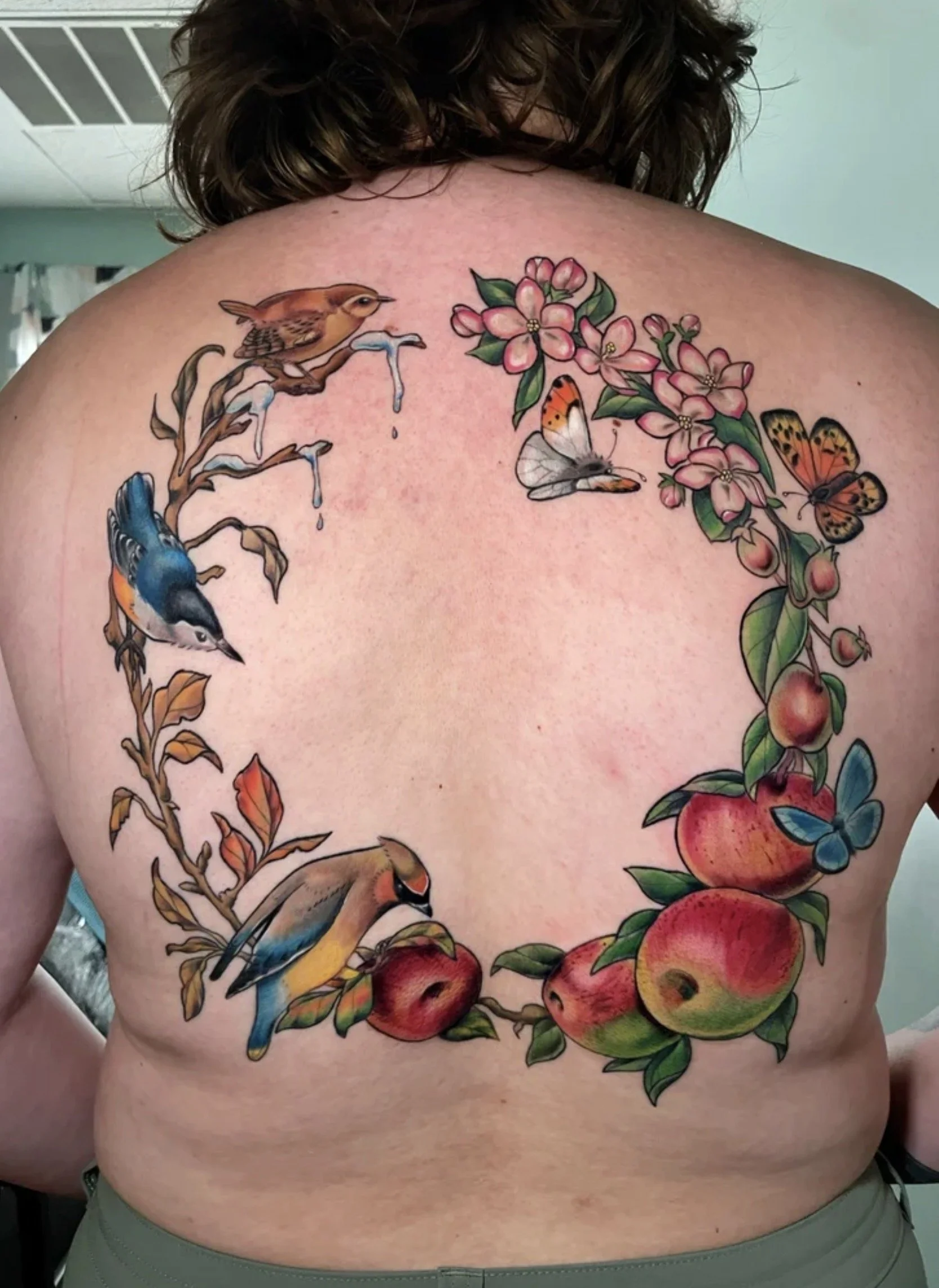 Colorful tattoo of birds, flowers, apples, and butterflies on a person's back.