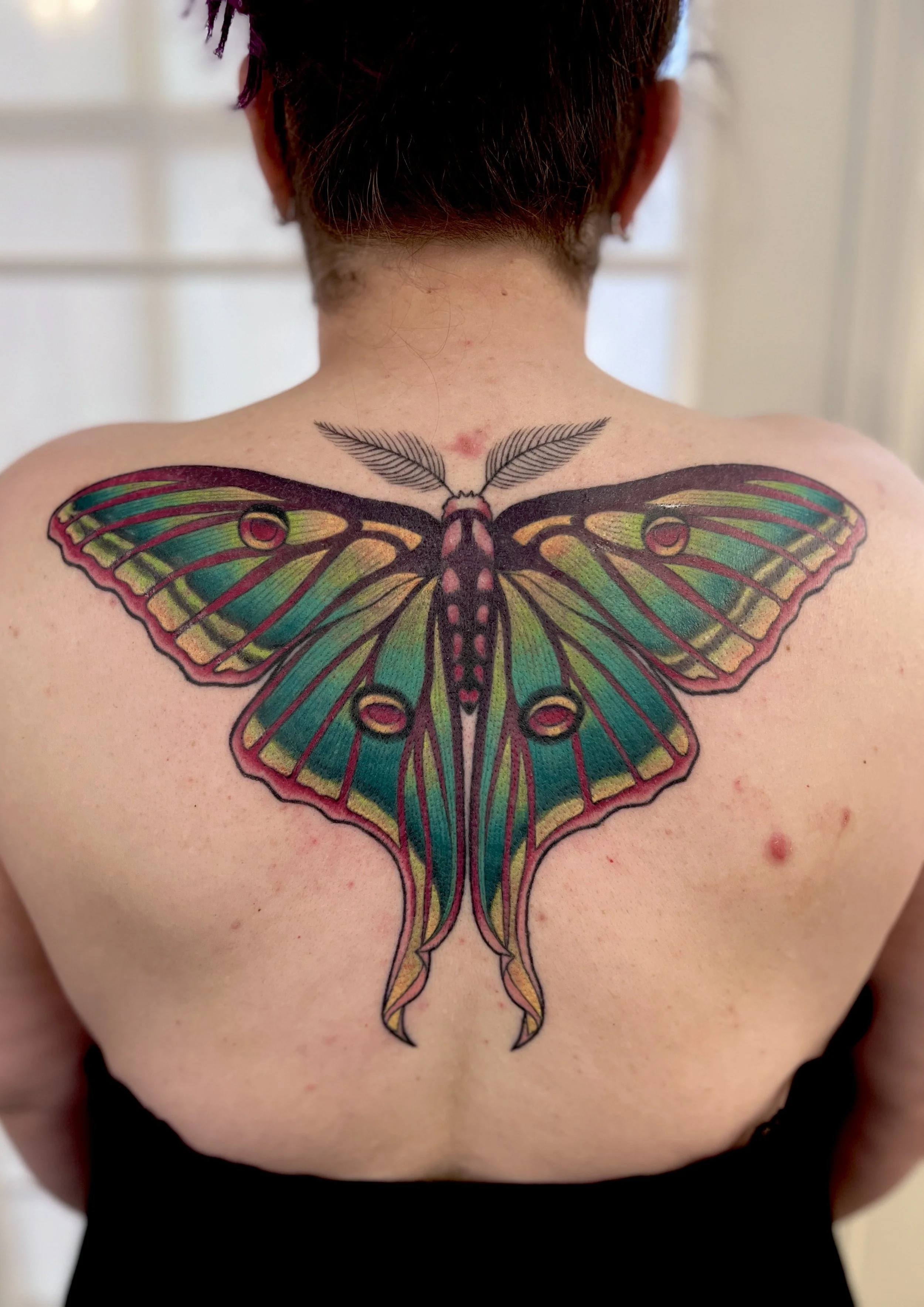 Colorful butterfly tattoo on person's upper back, with blue, green, pink, and yellow wings and detailed black outlines.