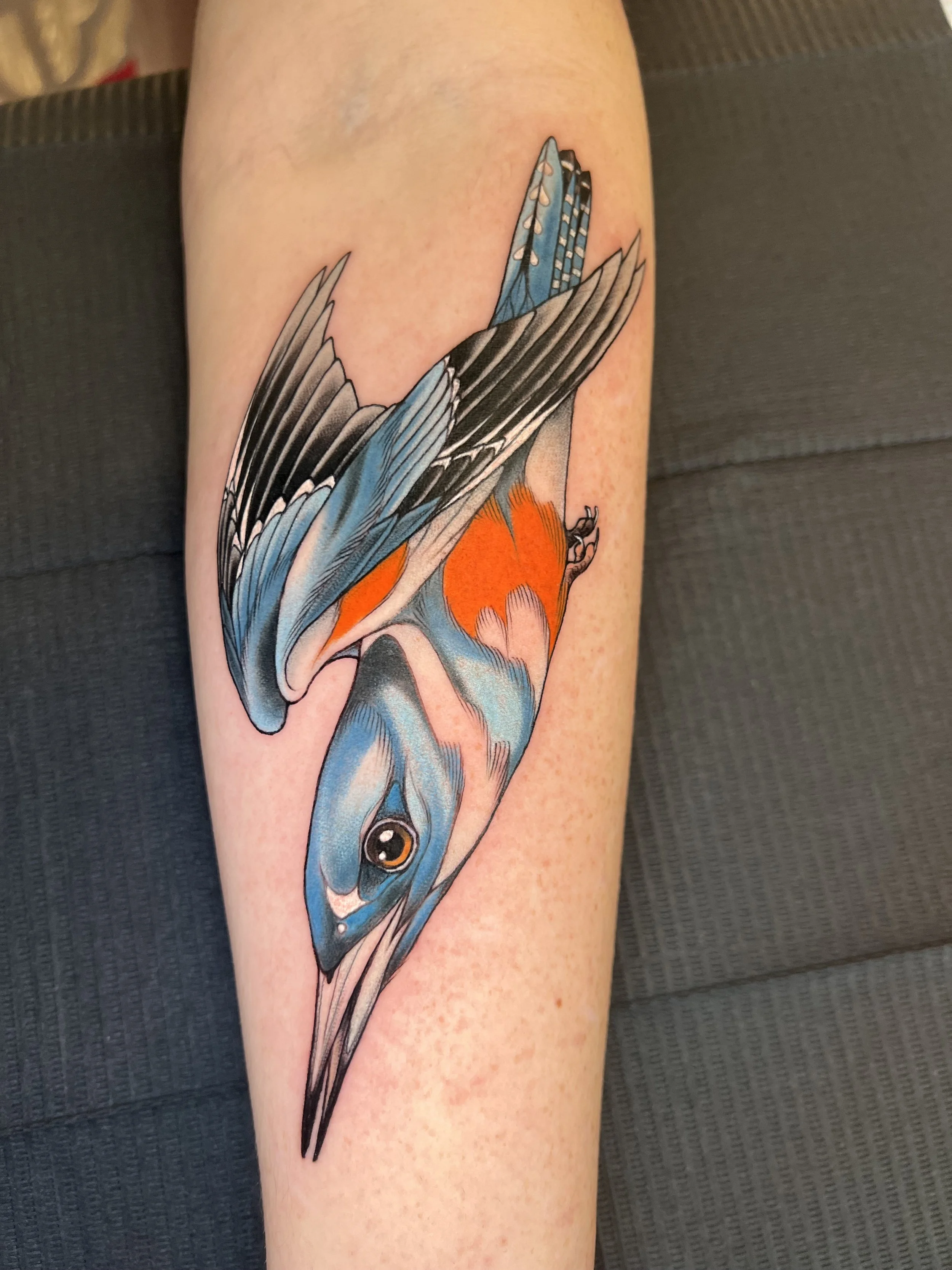 Colorful tattoo of a bird with blue, black, gray, and orange feathers, perched on a branch, on a person's forearm.