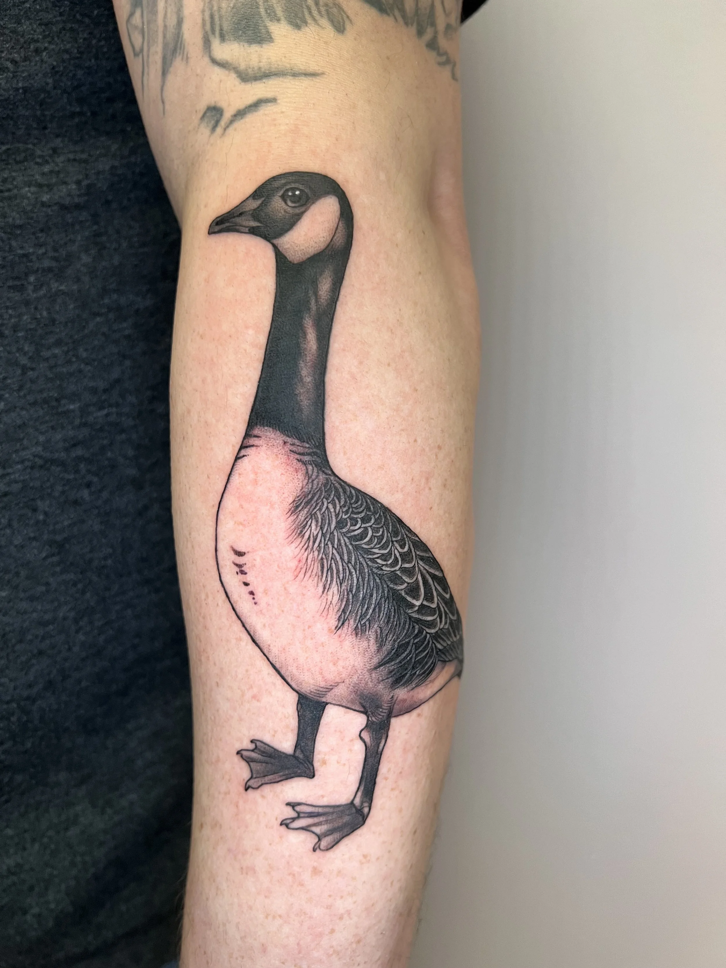 Tattoo of a goose on a person's arm, featuring detailed shading and texture.