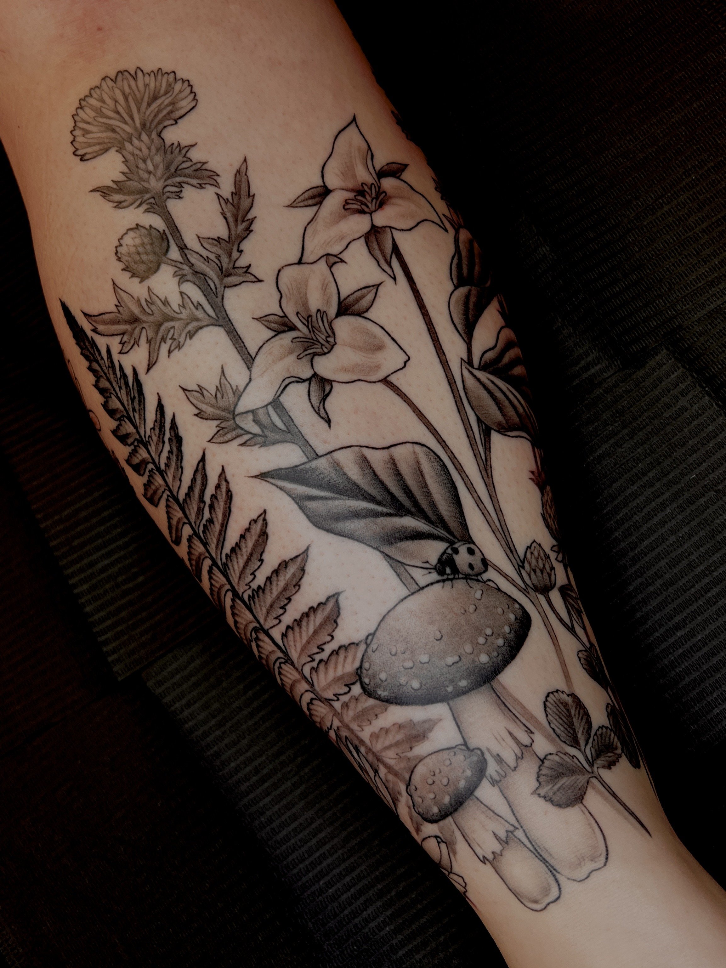 Black and gray tattoo of various mushrooms, flowers, and plants on a person's arm.