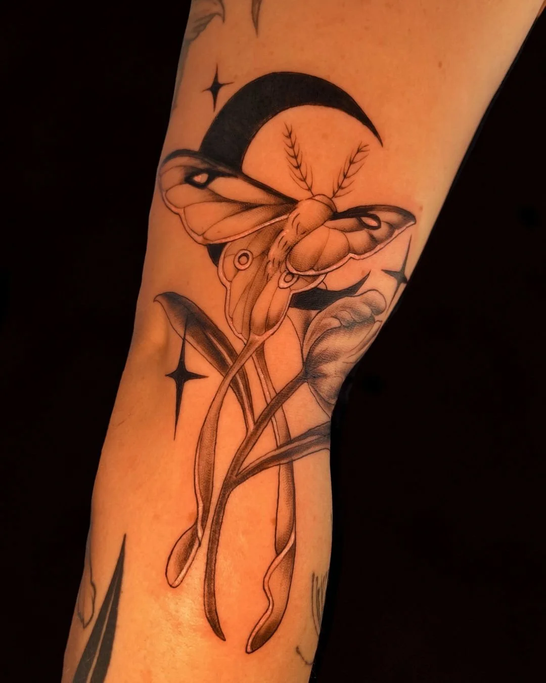 A black and gray tattoo of a moth with detailed wings, perched on a leafy branch, with a crescent moon and stars in the background.