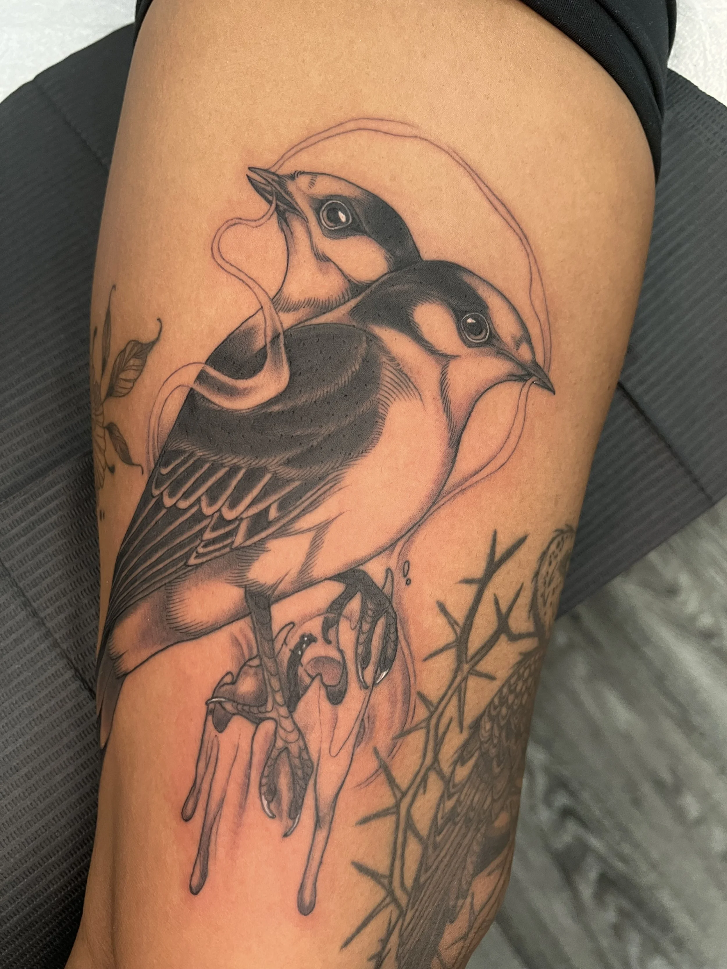 Tattoo of two birds with detailed feathers, beaks, and eyes on a person's upper arm