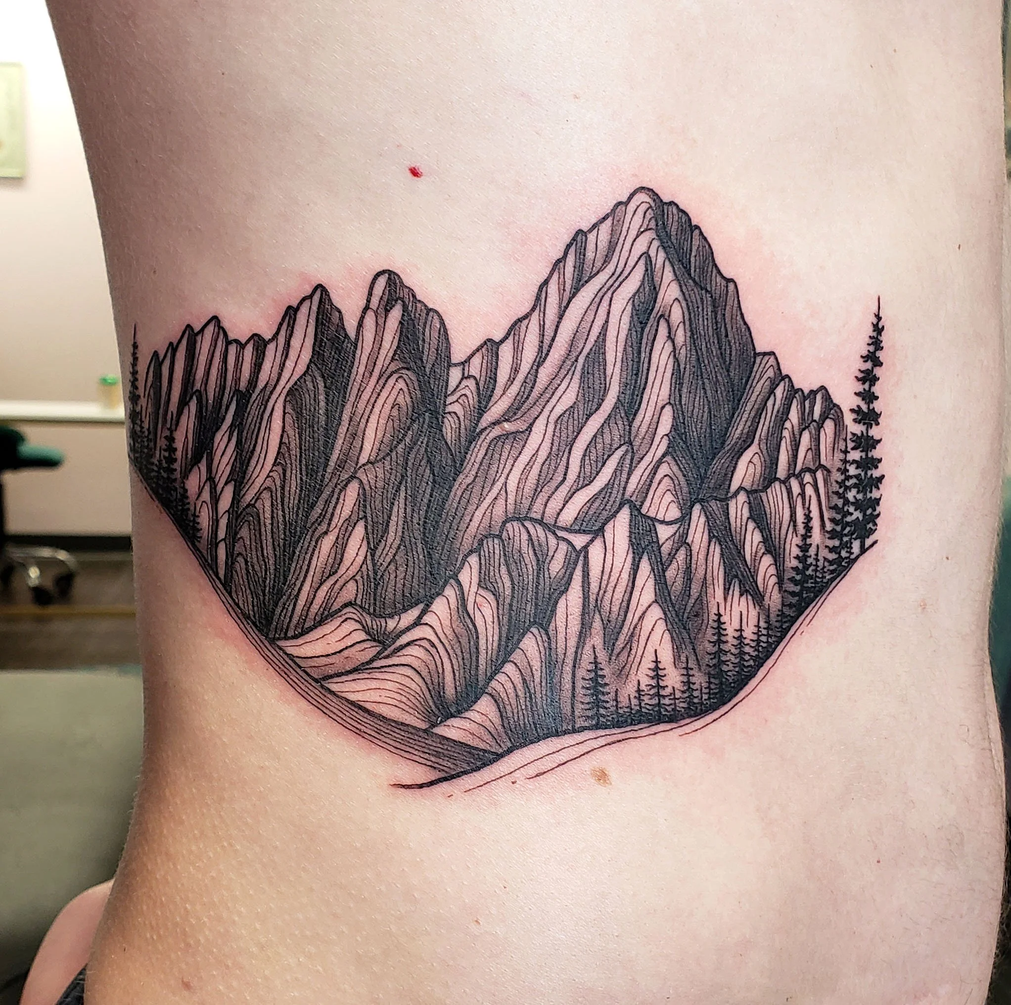 Tattoo of mountain peaks and pine trees on a person's side.
