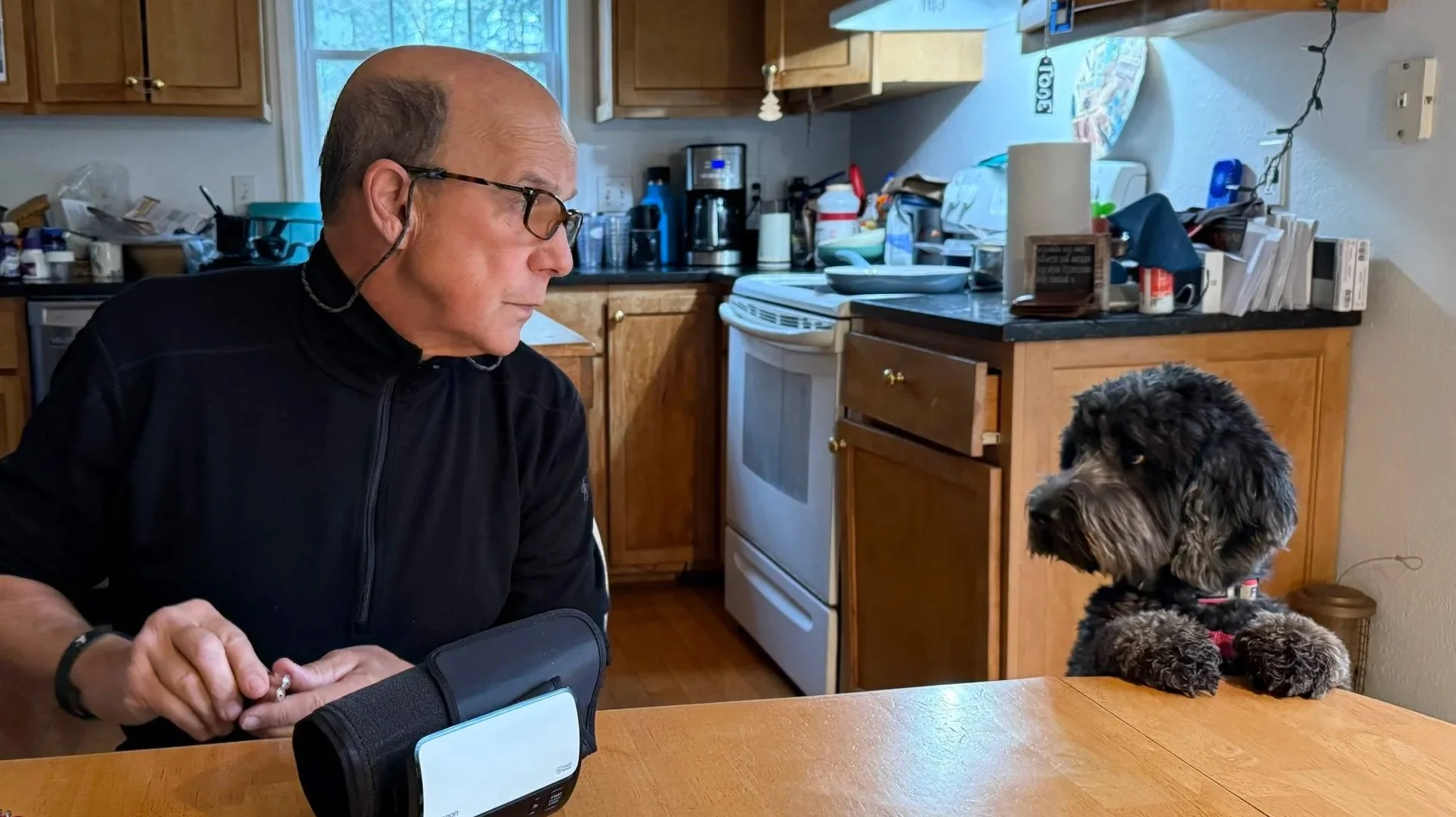 A middle-aged man with glasses and a black jacket looking at a black and gray dog sitting at a kitchen table. The dog has a red collar and is looking back at the man. The kitchen has wooden cabinets, a window, and various appliances and items on the countertops.