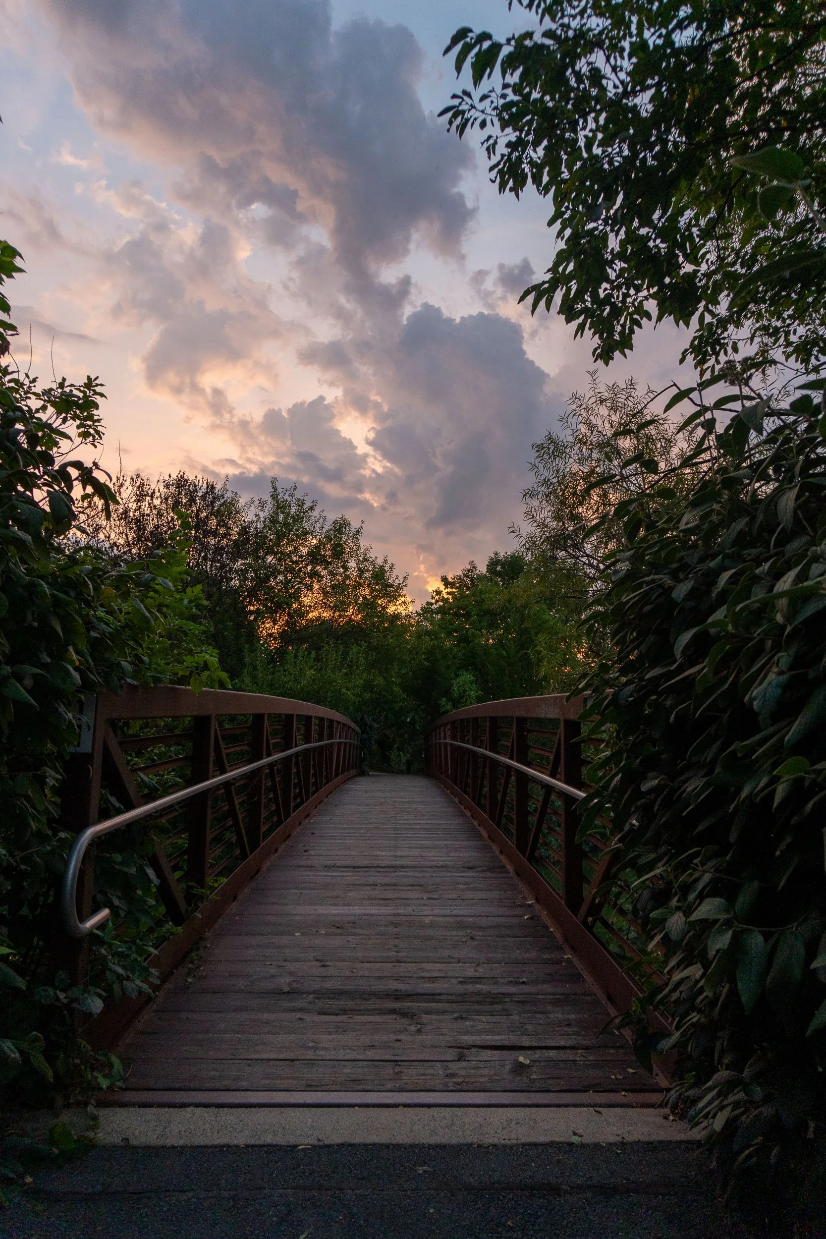 A wooden bridge surrounded by lush green trees with a cloudy sky at sunset in the background.
