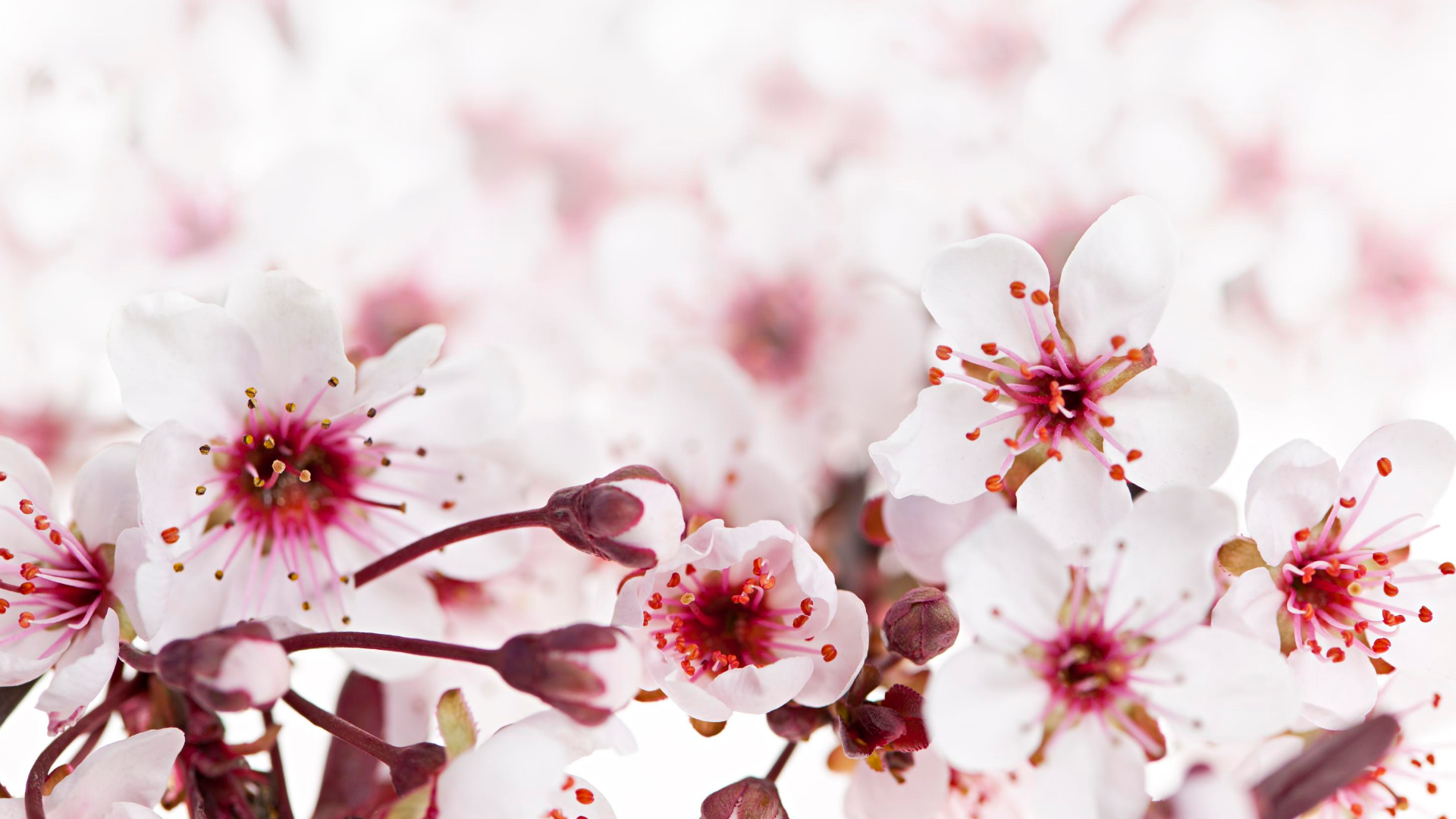 Banner4(1).png