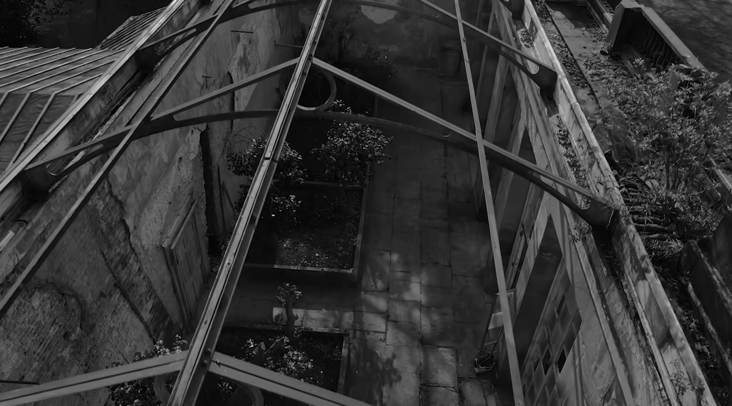 camellia-house-roof-truss-restoration-1.png