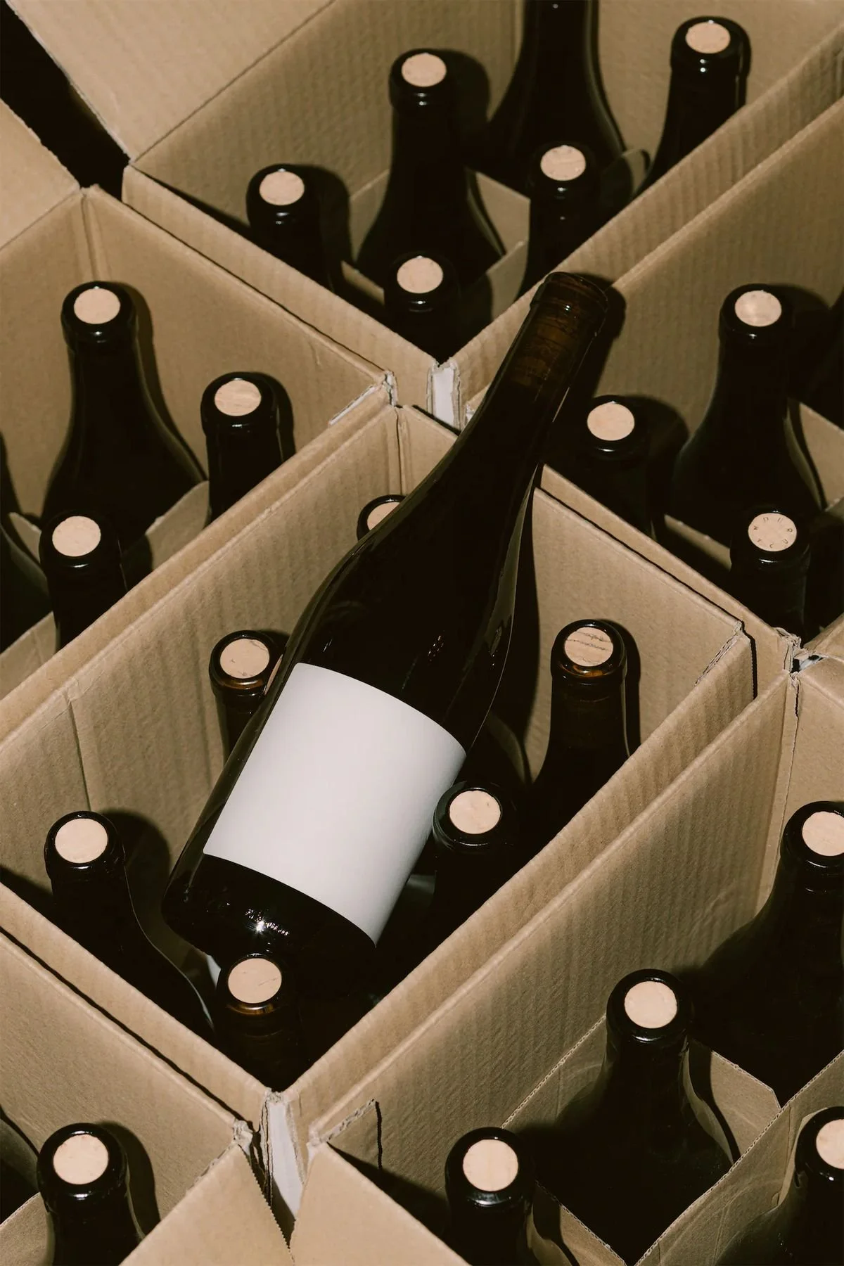 A cardboard box containing multiple dark glass bottles, one of which is tilted in the center, all with white labels.