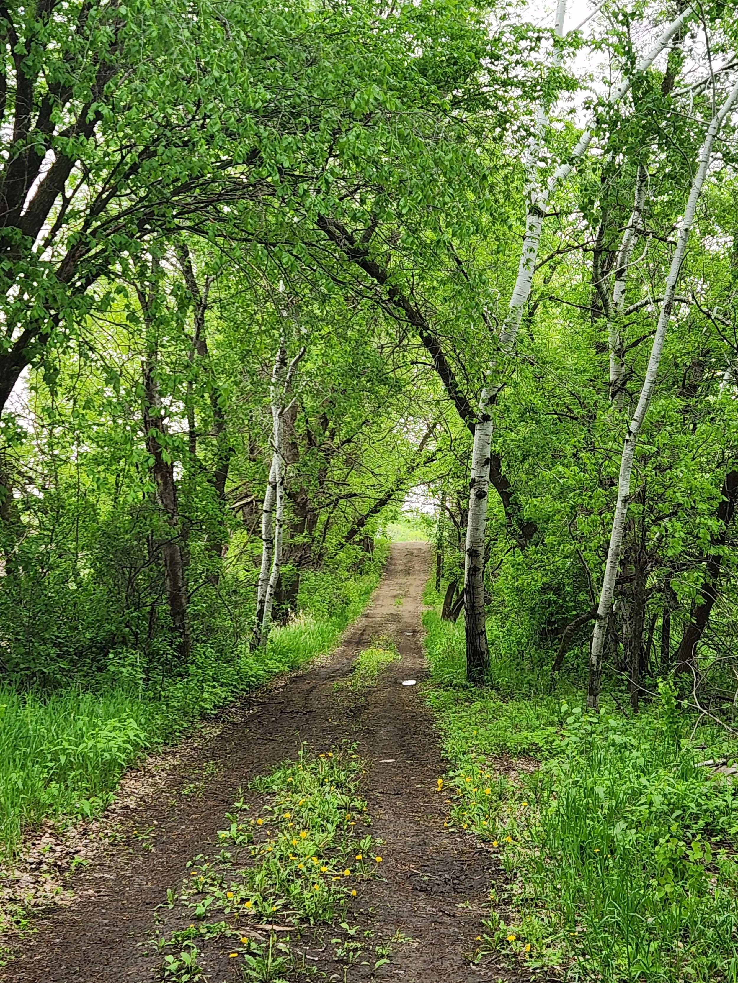 MN May2024 Road.jpg