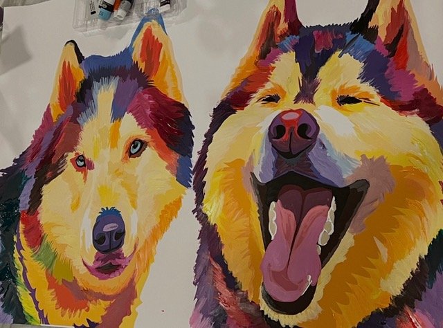 Pet Portraits