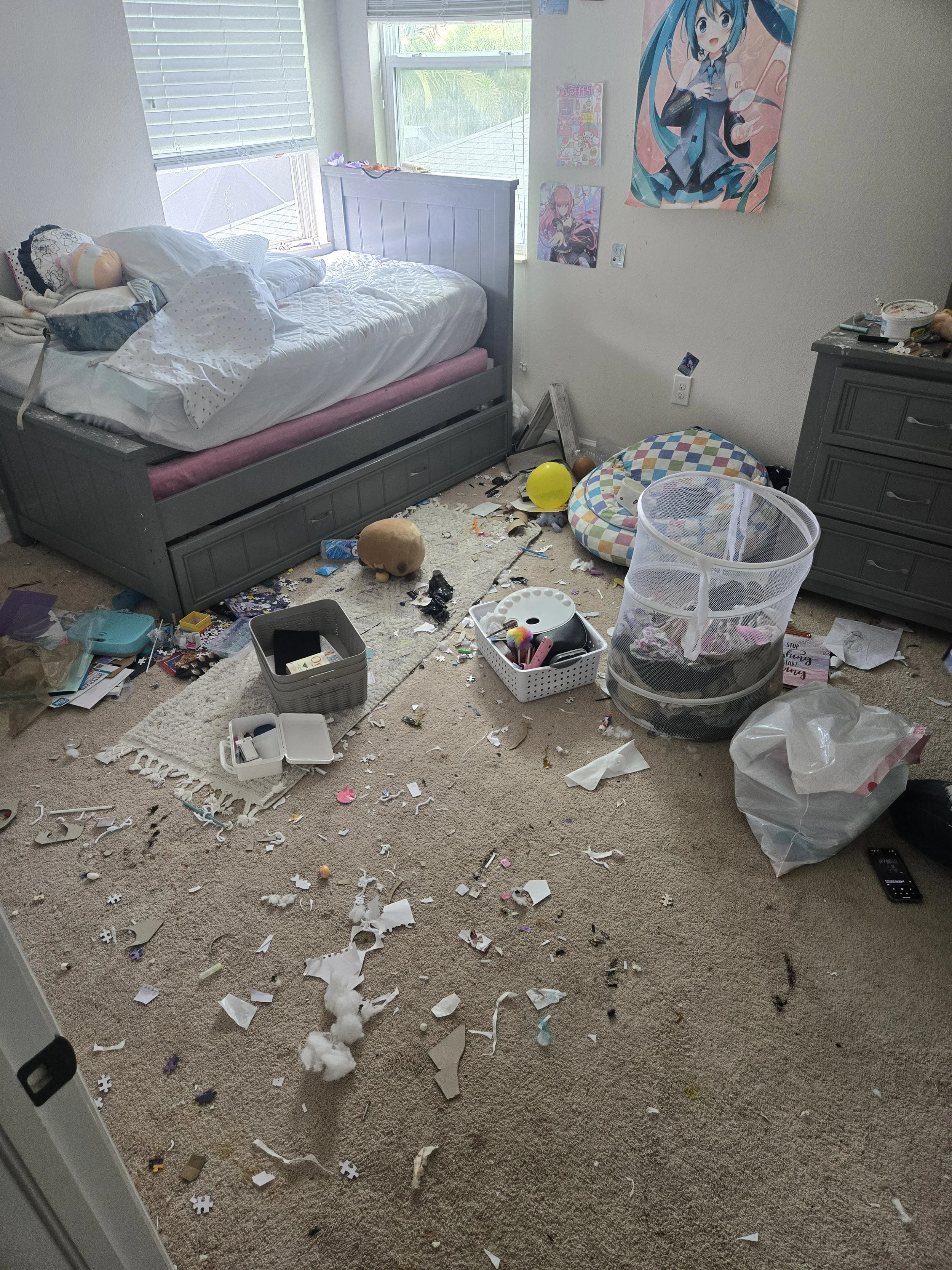 PROFESSIONAL CLEANING SERVICE