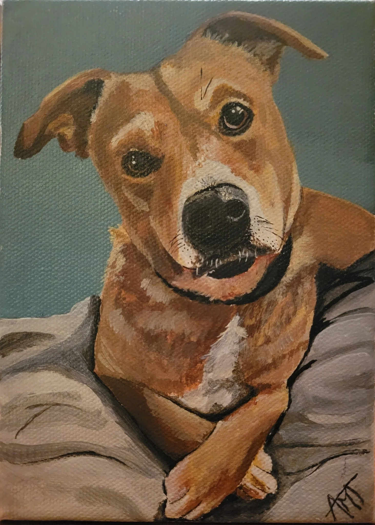 Painting of a mixed-breed dog with a tan and white face, black eyes, and a black nose, sitting against a teal background, with a signature in the bottom right corner.