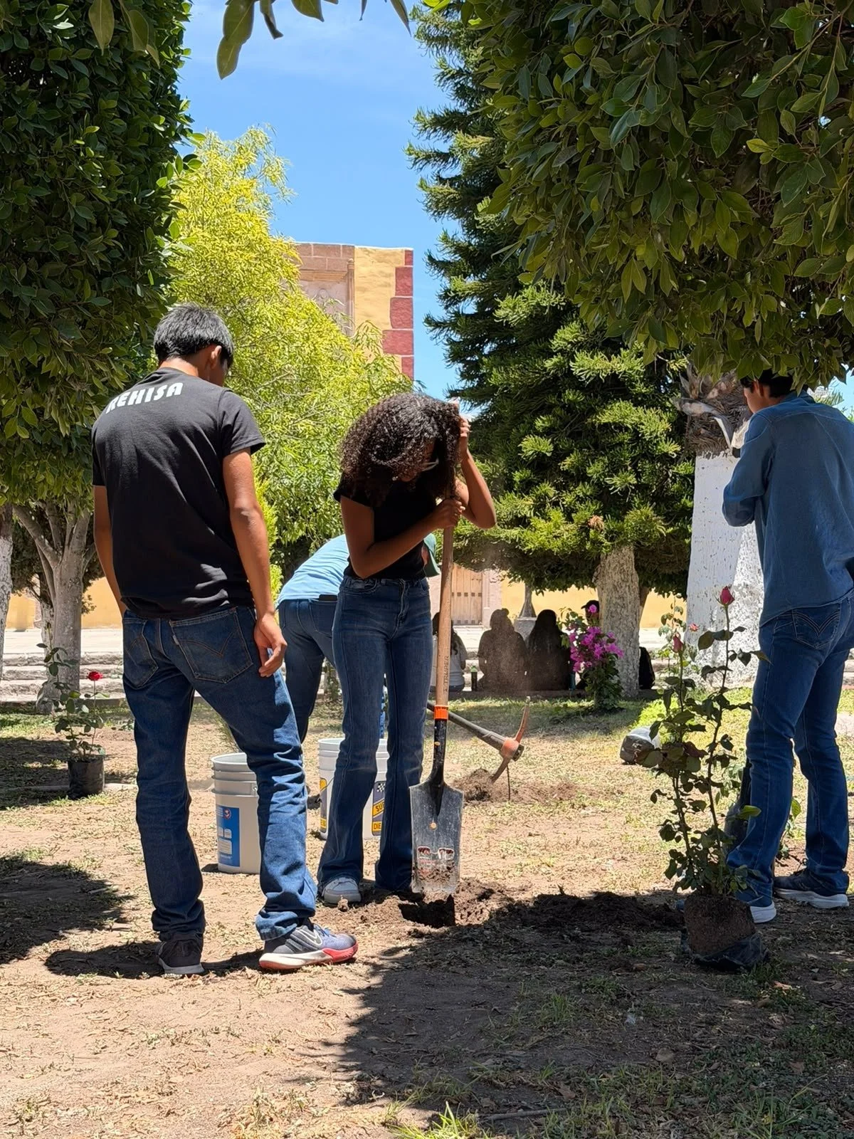 Grupo de jóvenes plantando un árbol en un parque con árboles grandes y rosales alrededor, en un día soleado.