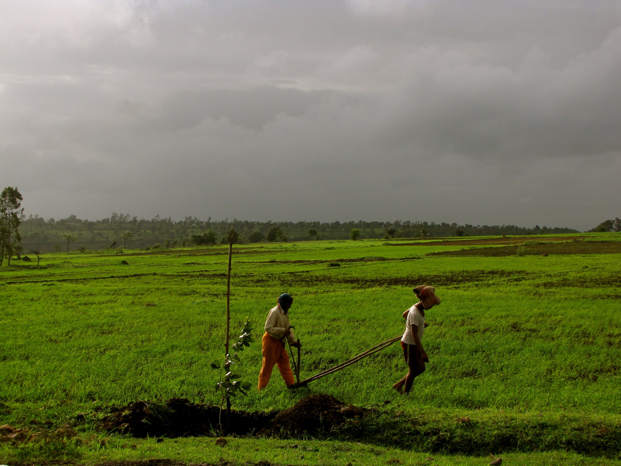 Karnataka, India 2012