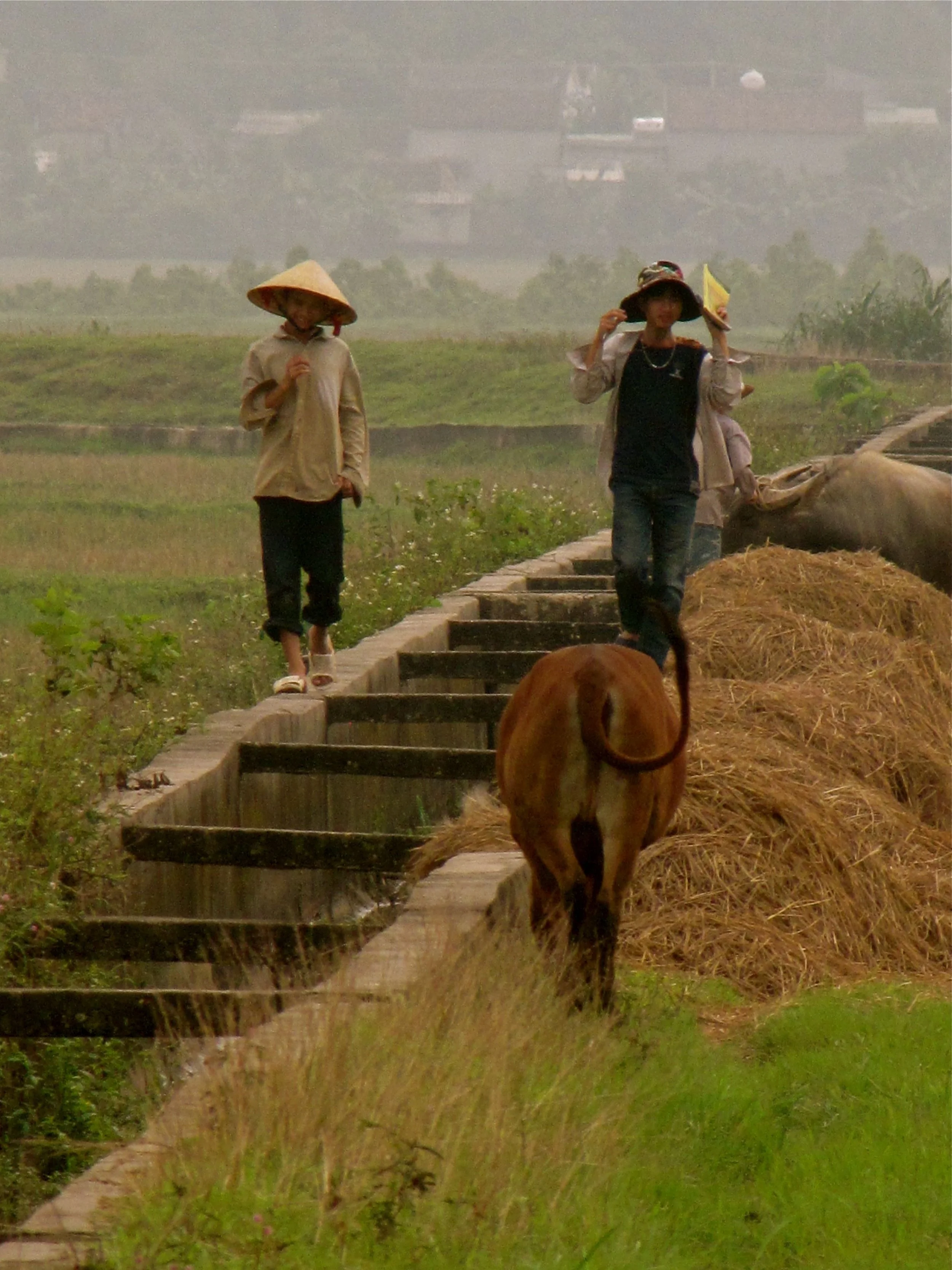 Nghe An, Vietnam 2011