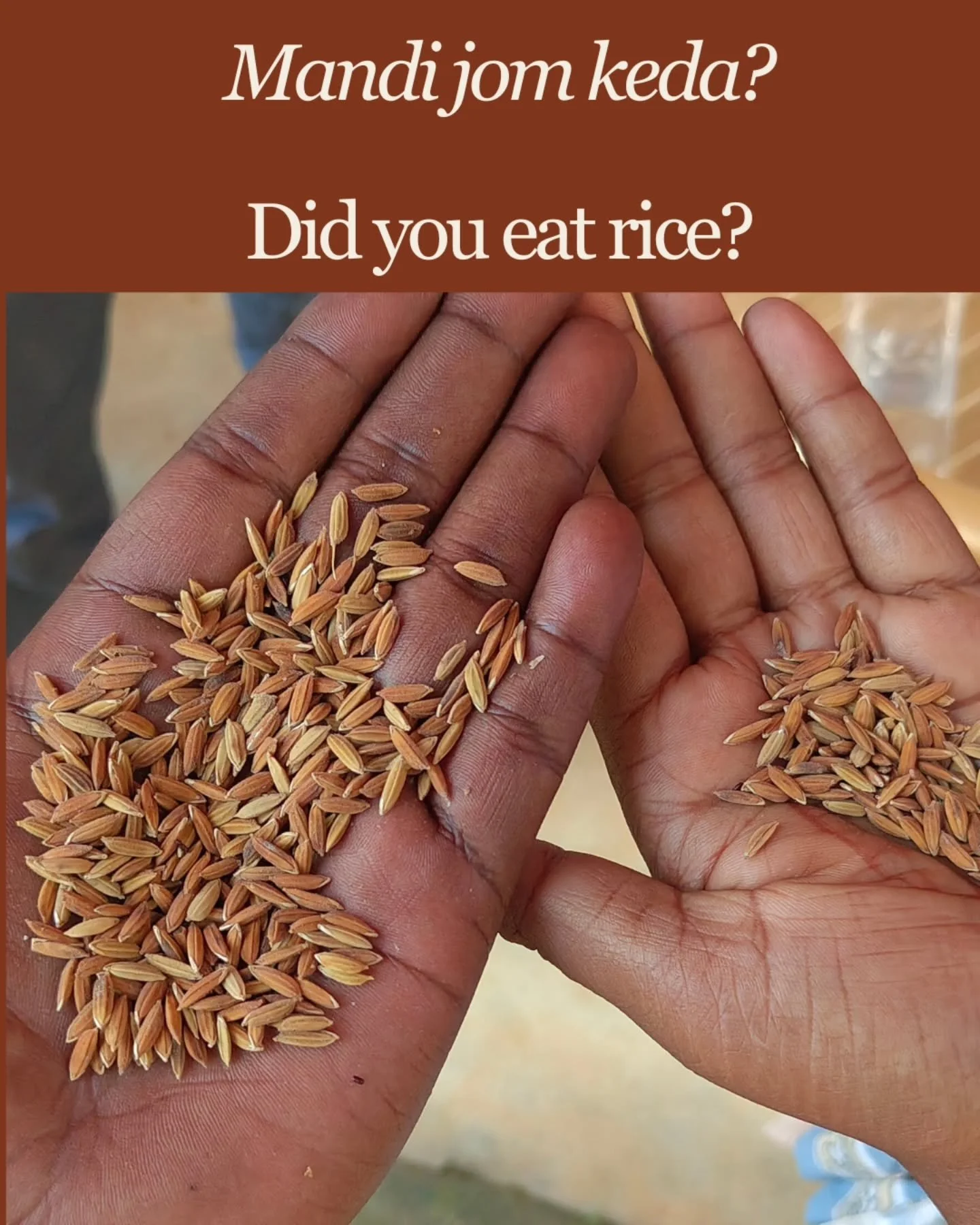 From iron-rich soils to mica-rich landscapes, Jharkhand's traditional rice varieties carry remarkable adaptations shaped by generations of relationships between seed, soil, ecology and farmer selection. Do you know the names of these traditional vari