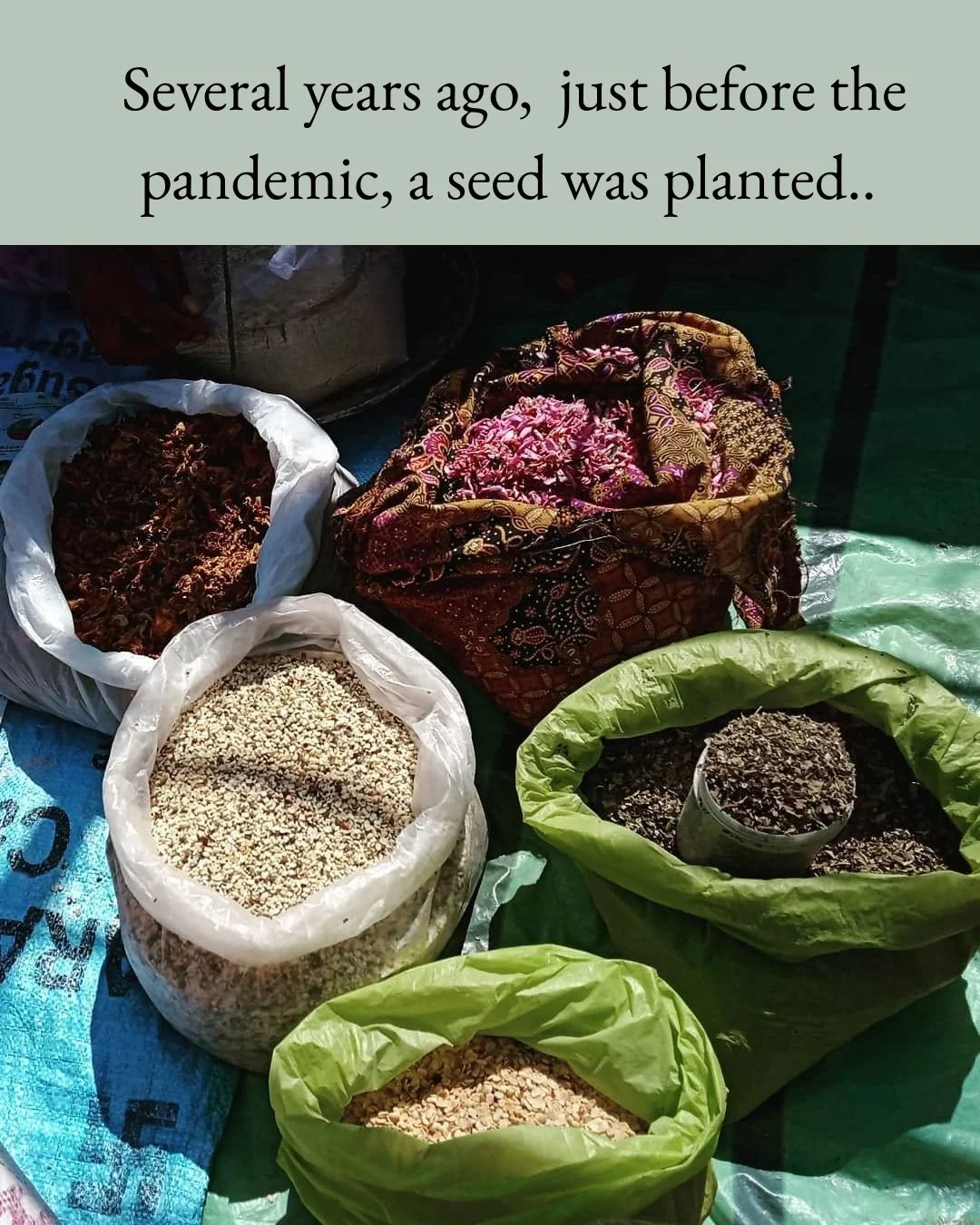 Our origin story 
#adivasi #adivasifood #indigenousknowledge #foodways #foodsovereignty #jharkhand 

Link in bio for more details