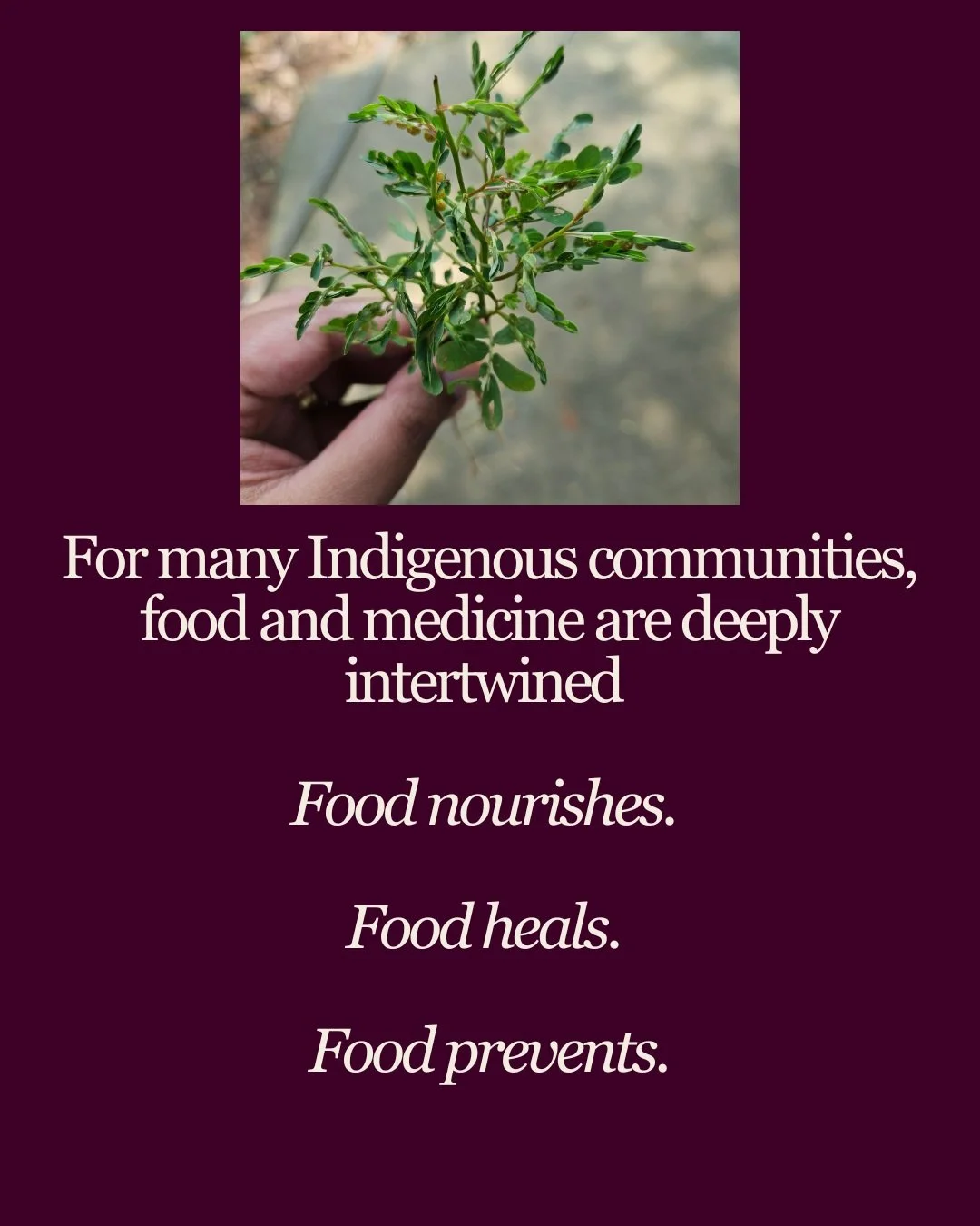 What does it mean to speak about food as medicine today? How is this knowledge held, practiced, protected, and passed between generations? And as interest in traditional foods and medicinal plants grows, how do we ensure that knowledge is not separat
