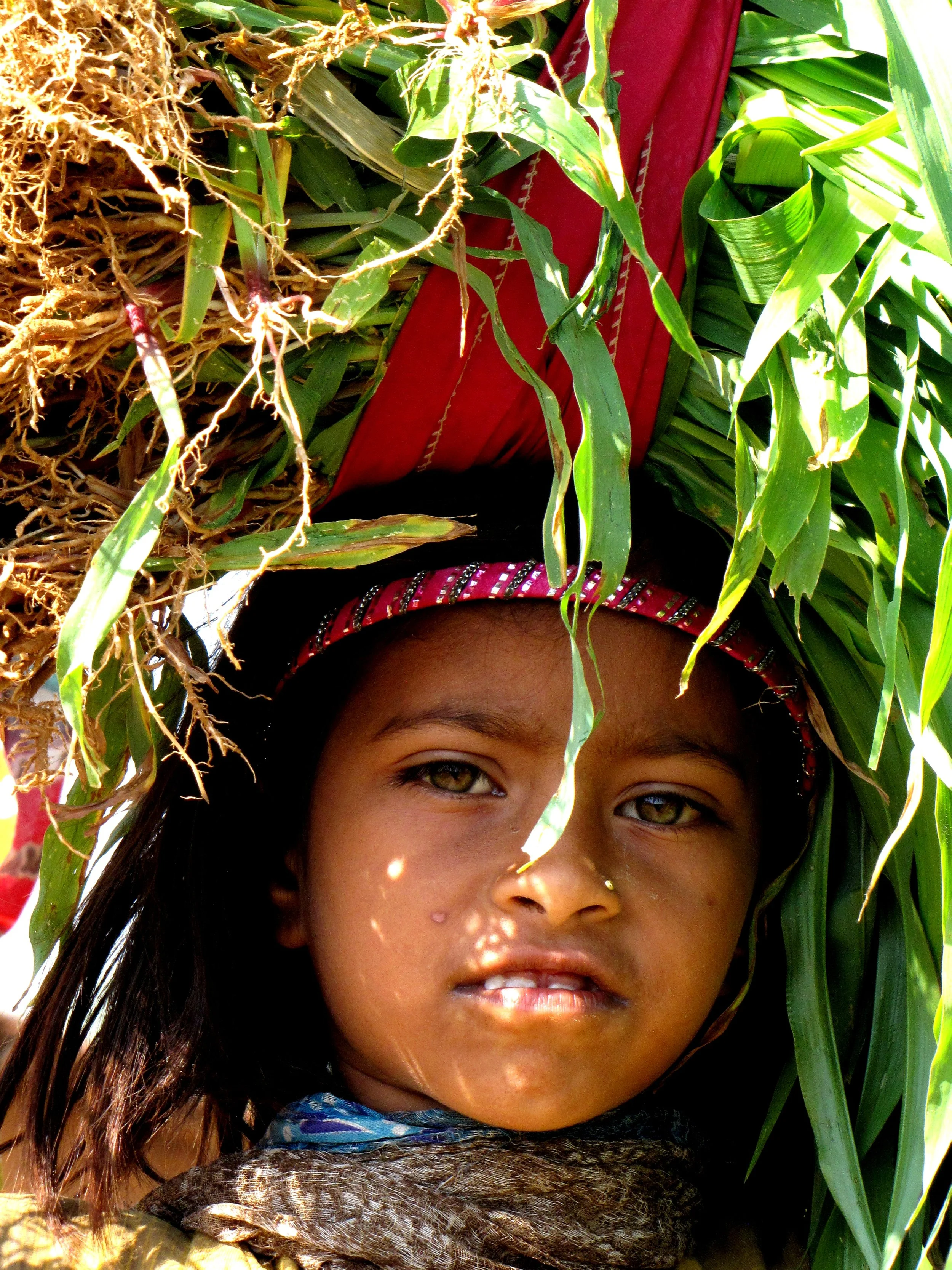 Gujarat, India. 2012