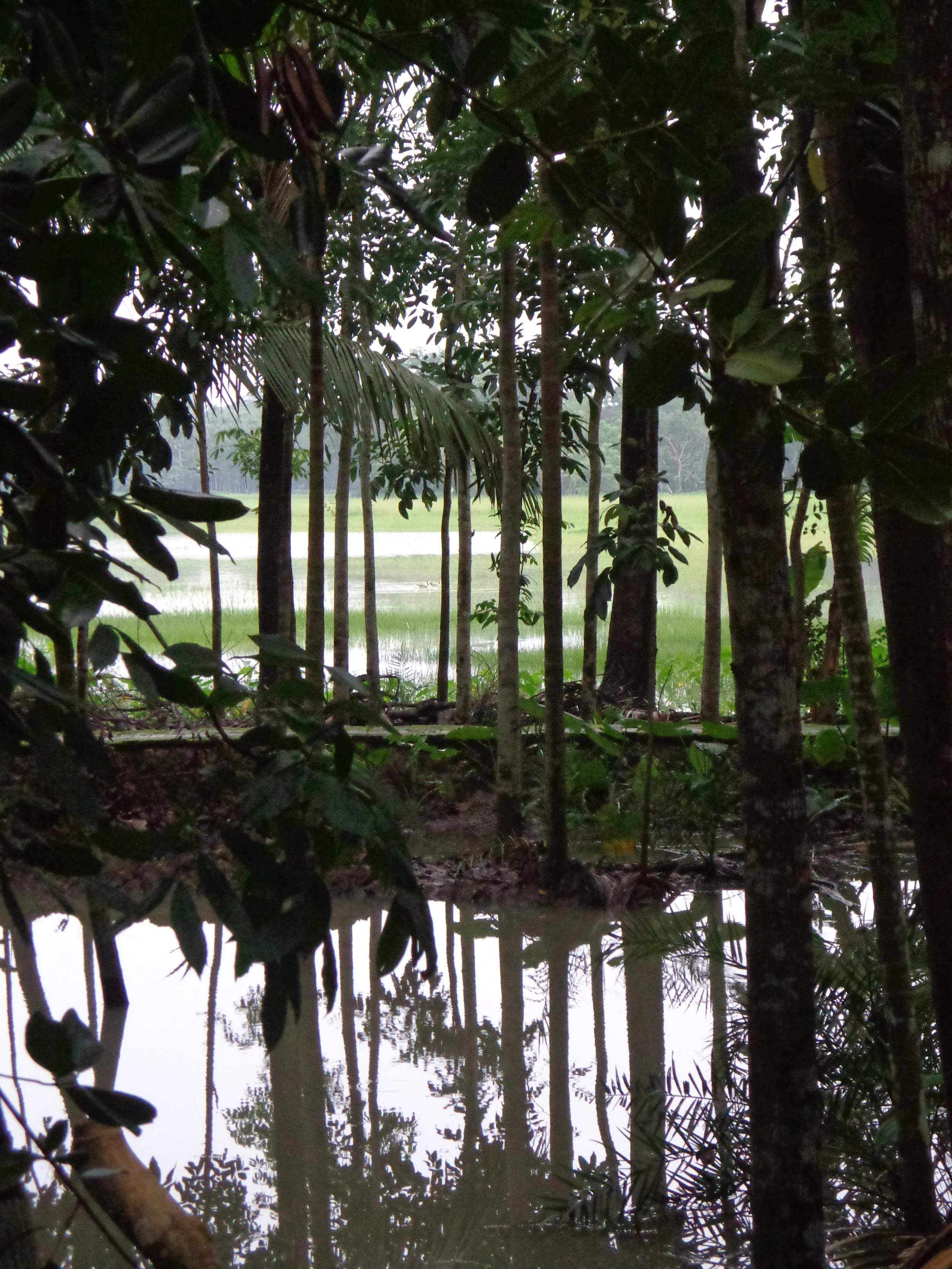 Barisal, Bangladesh 2012