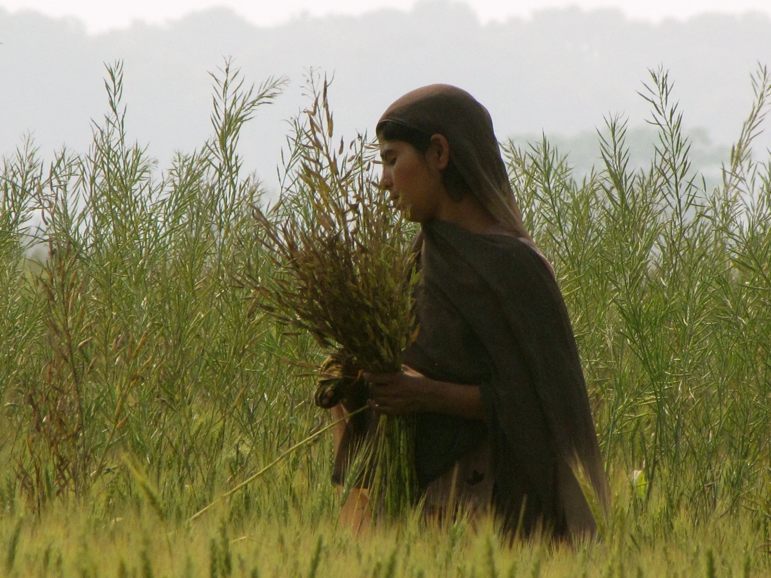 Terai, Nepal 2012