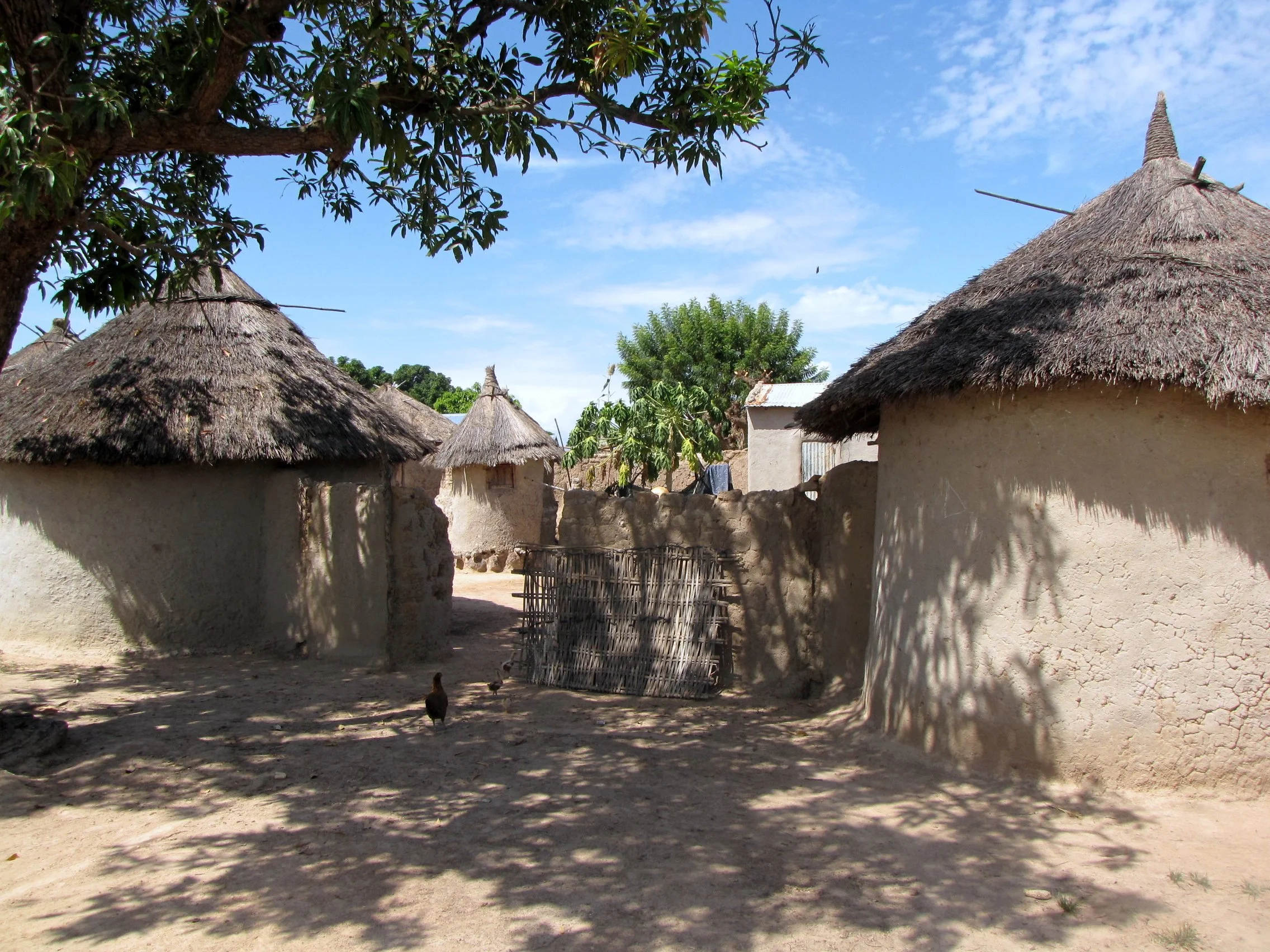 Koutiala, Mali 2014