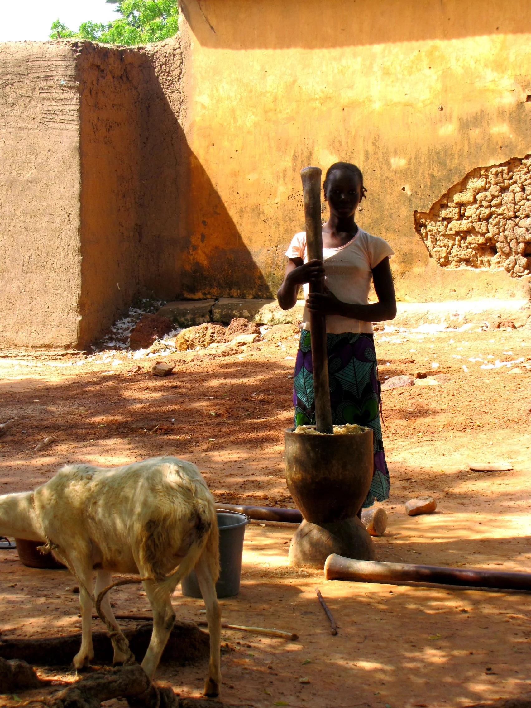 Koutiala, Mali 2016
