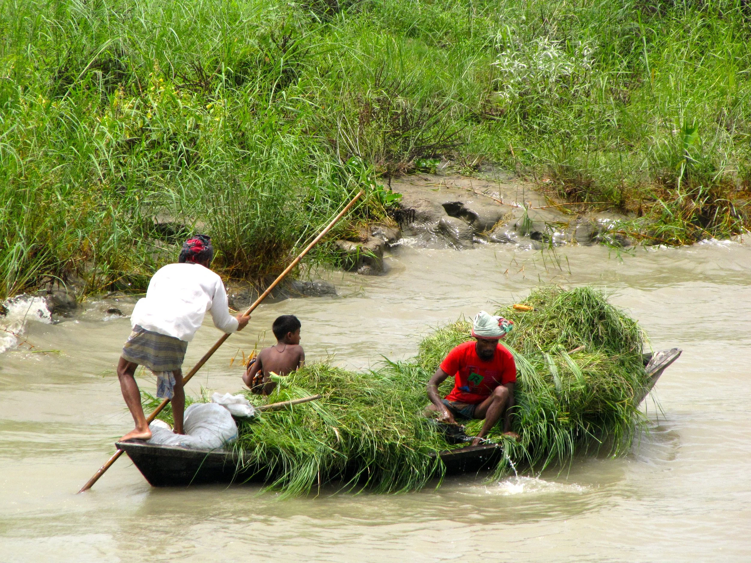 Khulna, Bangladesh 2012