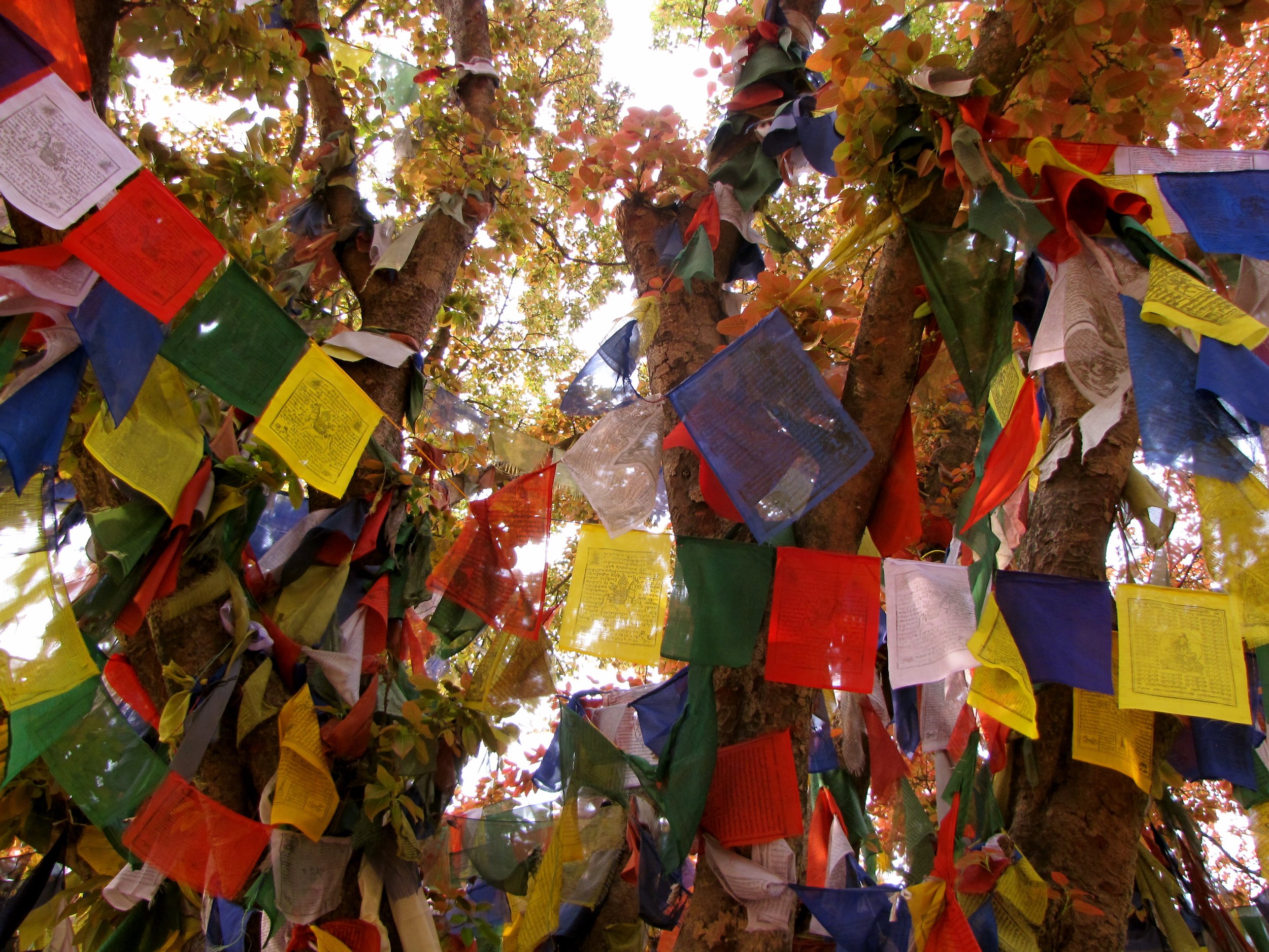 Lumbini, Nepal 2012