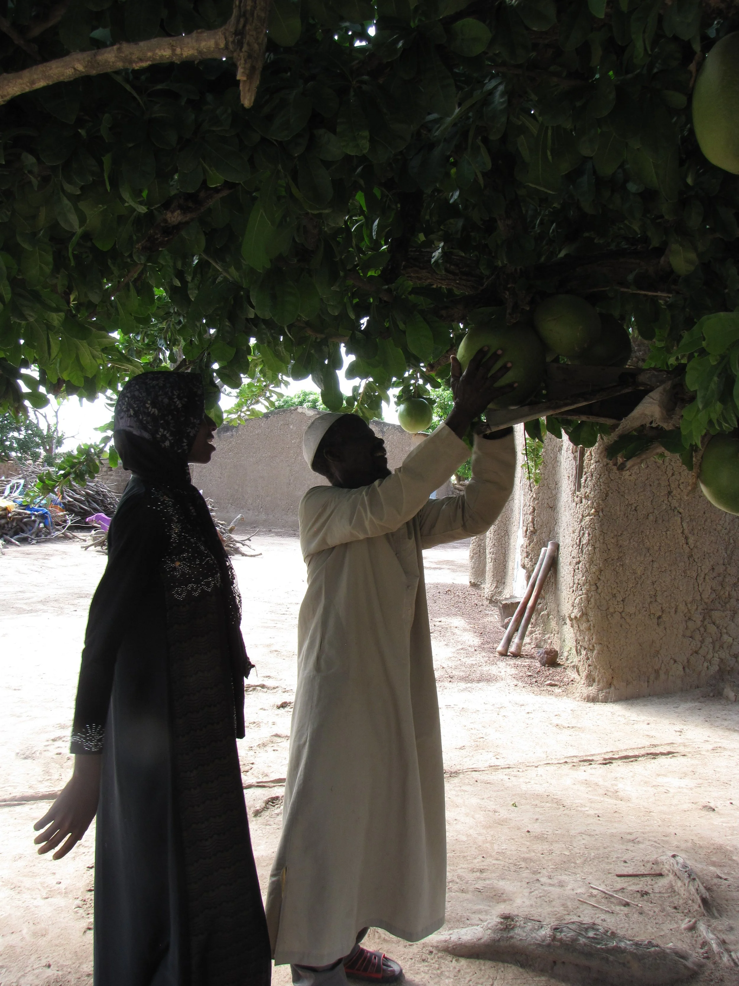 Koutiala, Mali 2016